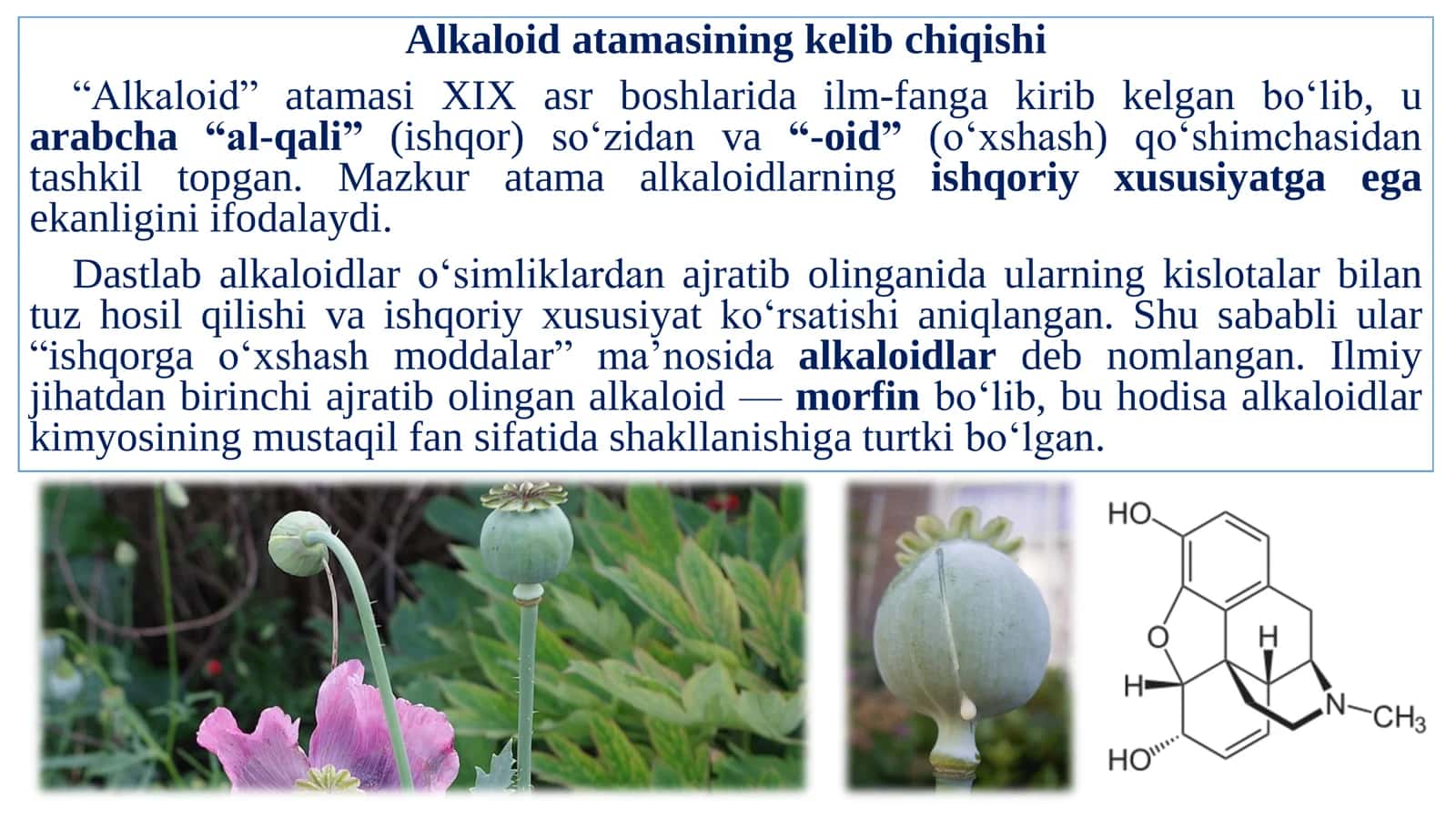 Alkaloidlar. Alkaloidlar haqida umumiy tushuncha. 2