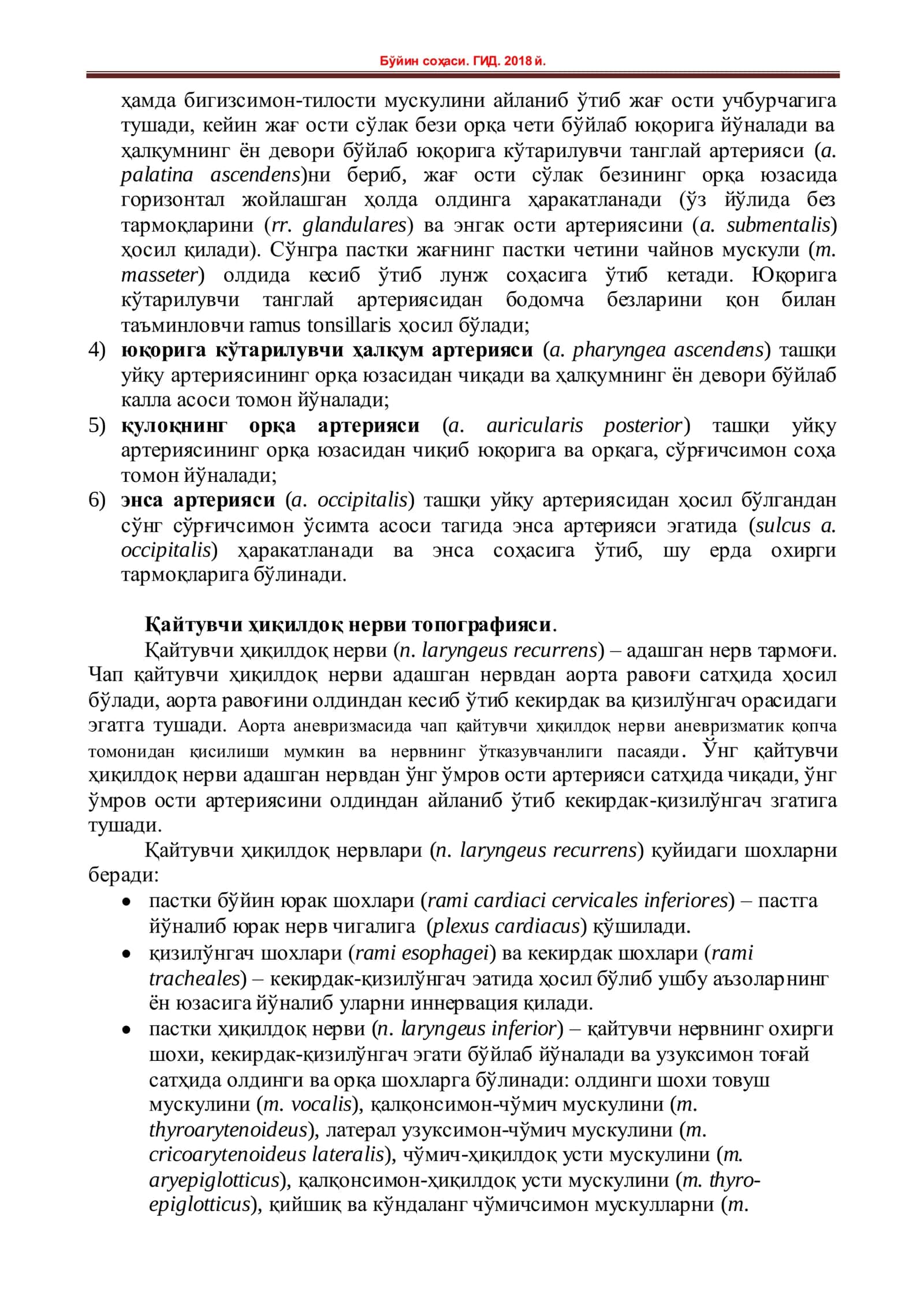 БЎЙИННИНГ МЕДИАЛ ҚОН ТОМИР-НЕРВЛАРИ ТОПОГРАФИЯСИ 2