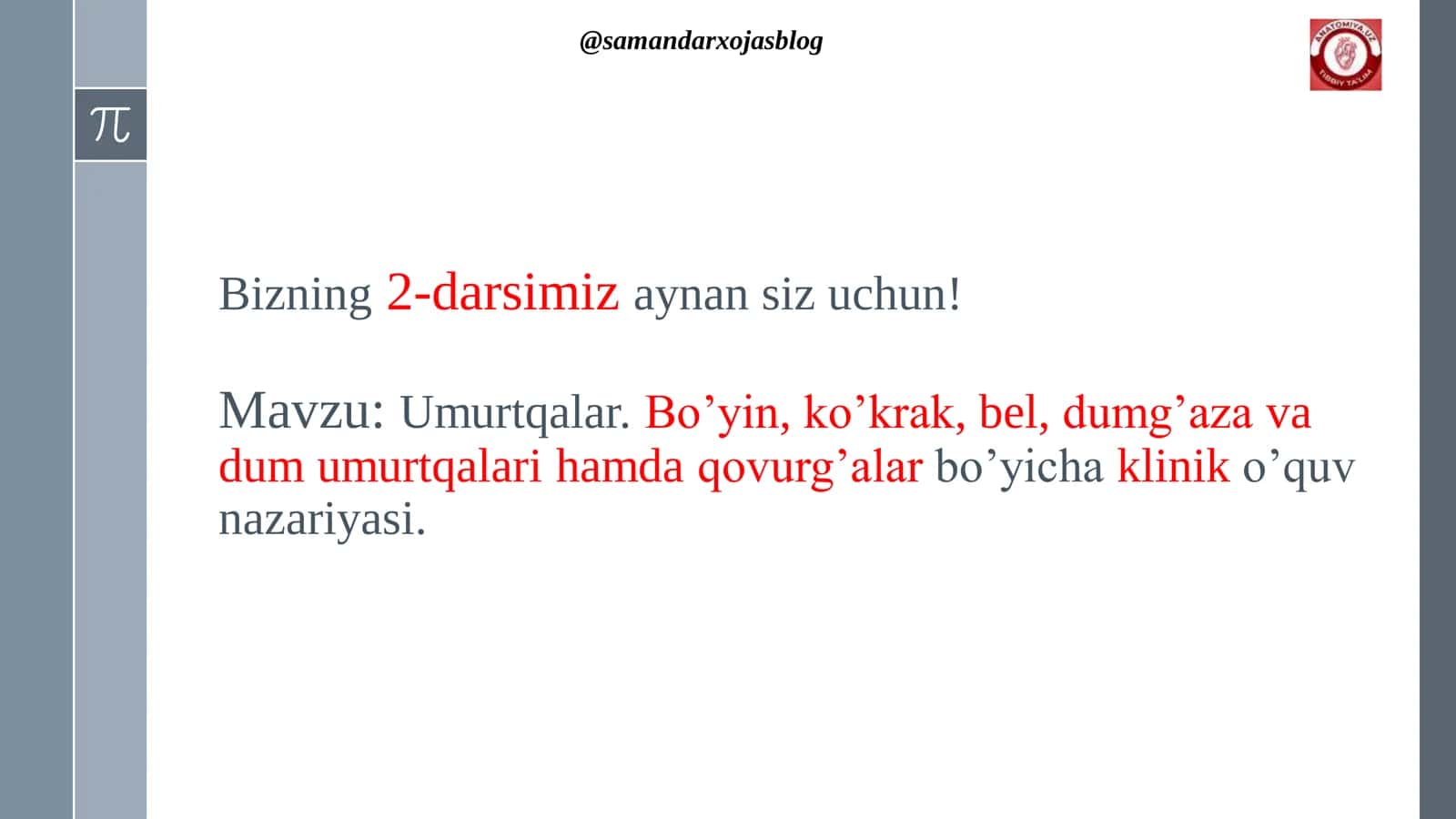 Umurtqalar. Bo’yin, ko’krak, bel, dumg’aza va dum umurtqalari 2
