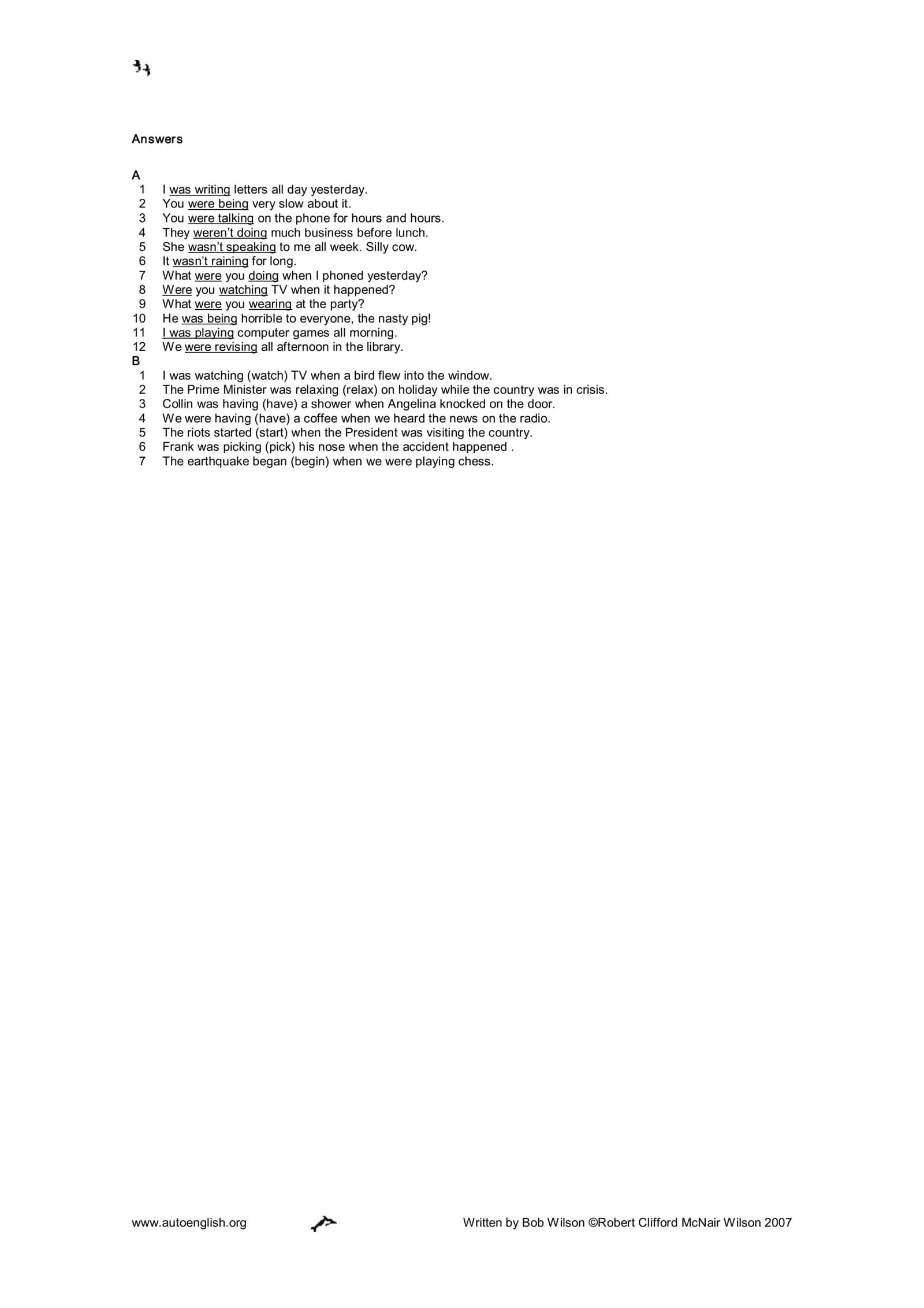 The Past Continuous Exercise 2
