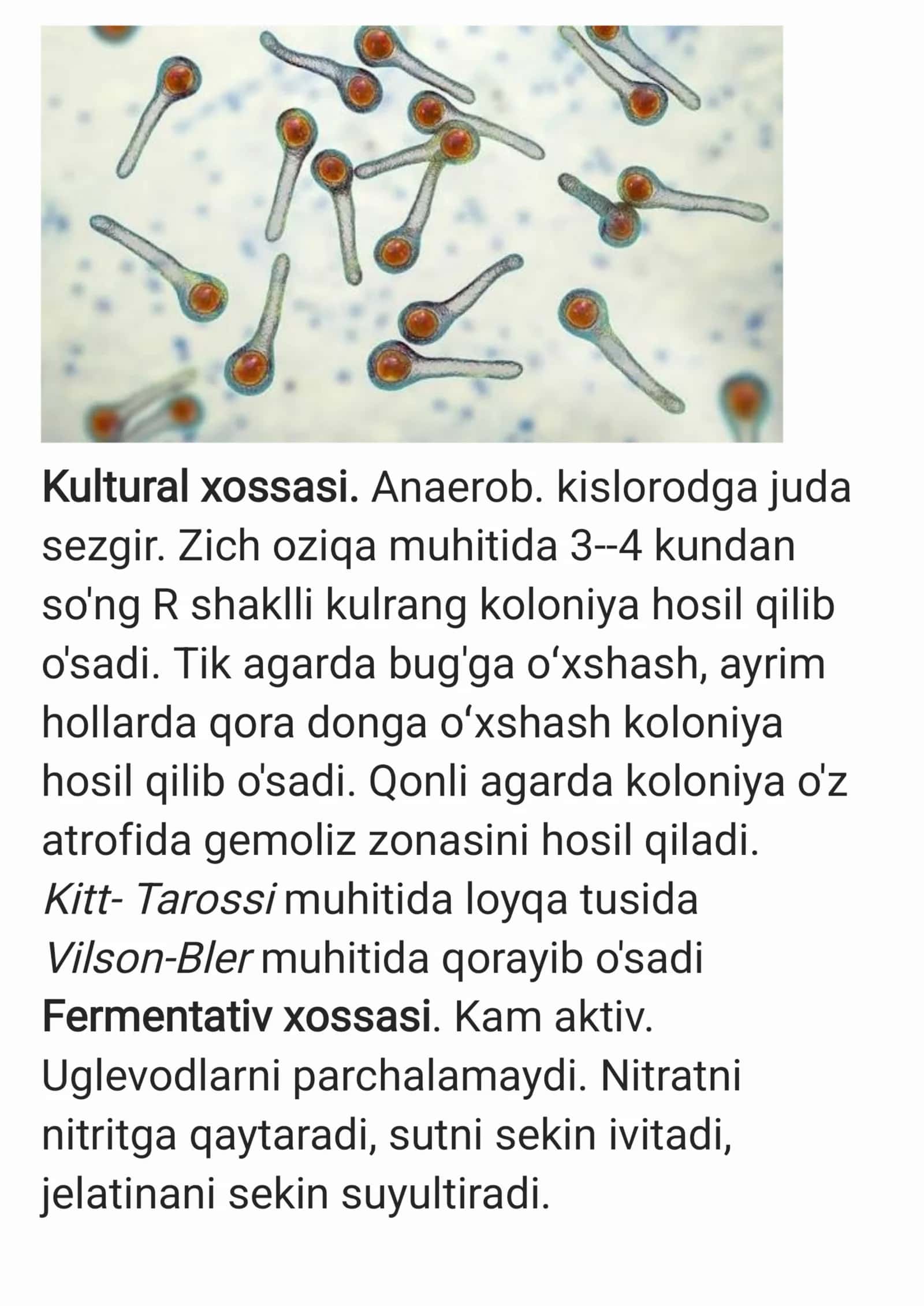 Qoqshol qo'zg'atuvchisi 2