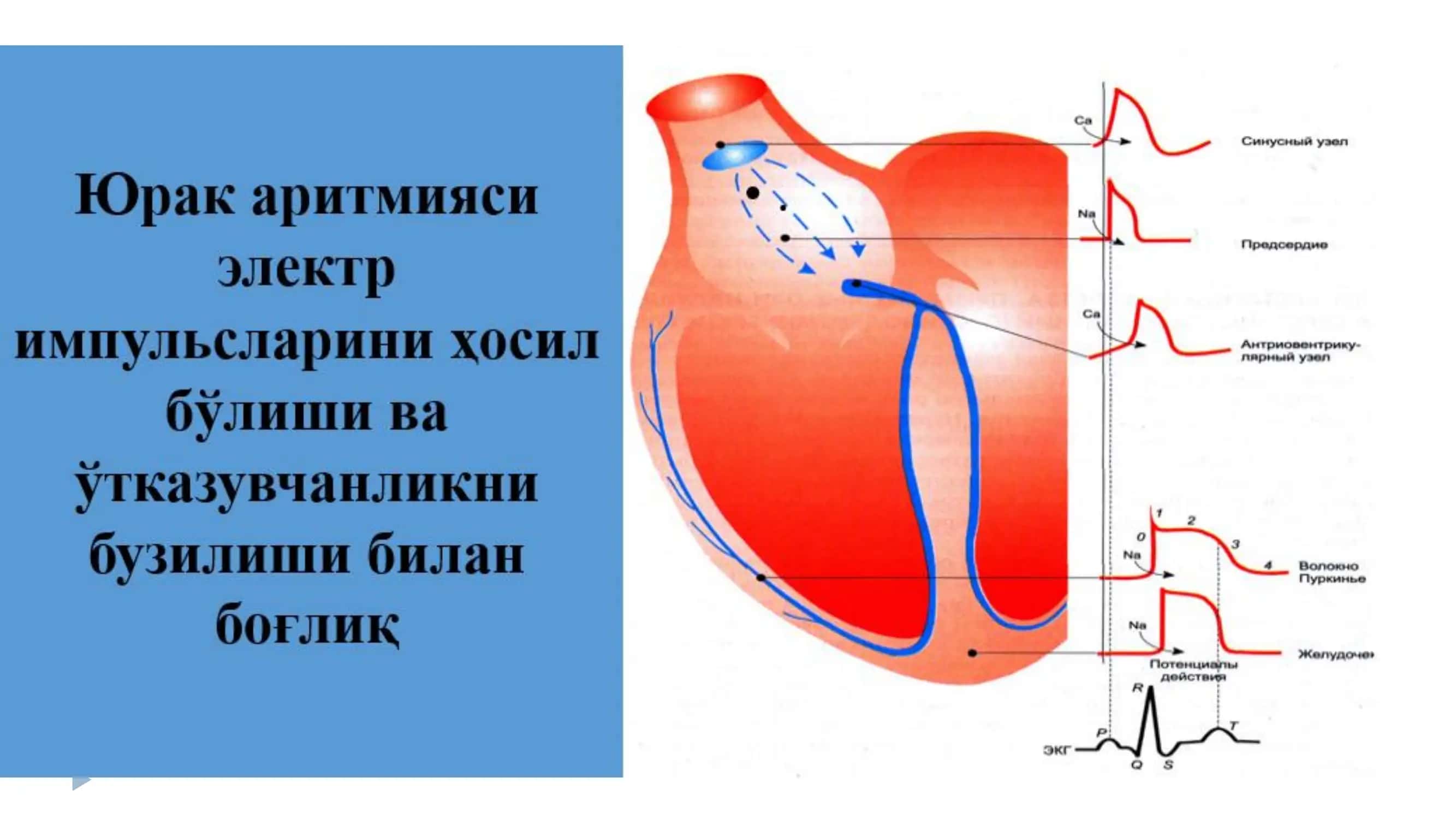 Фармакология 2