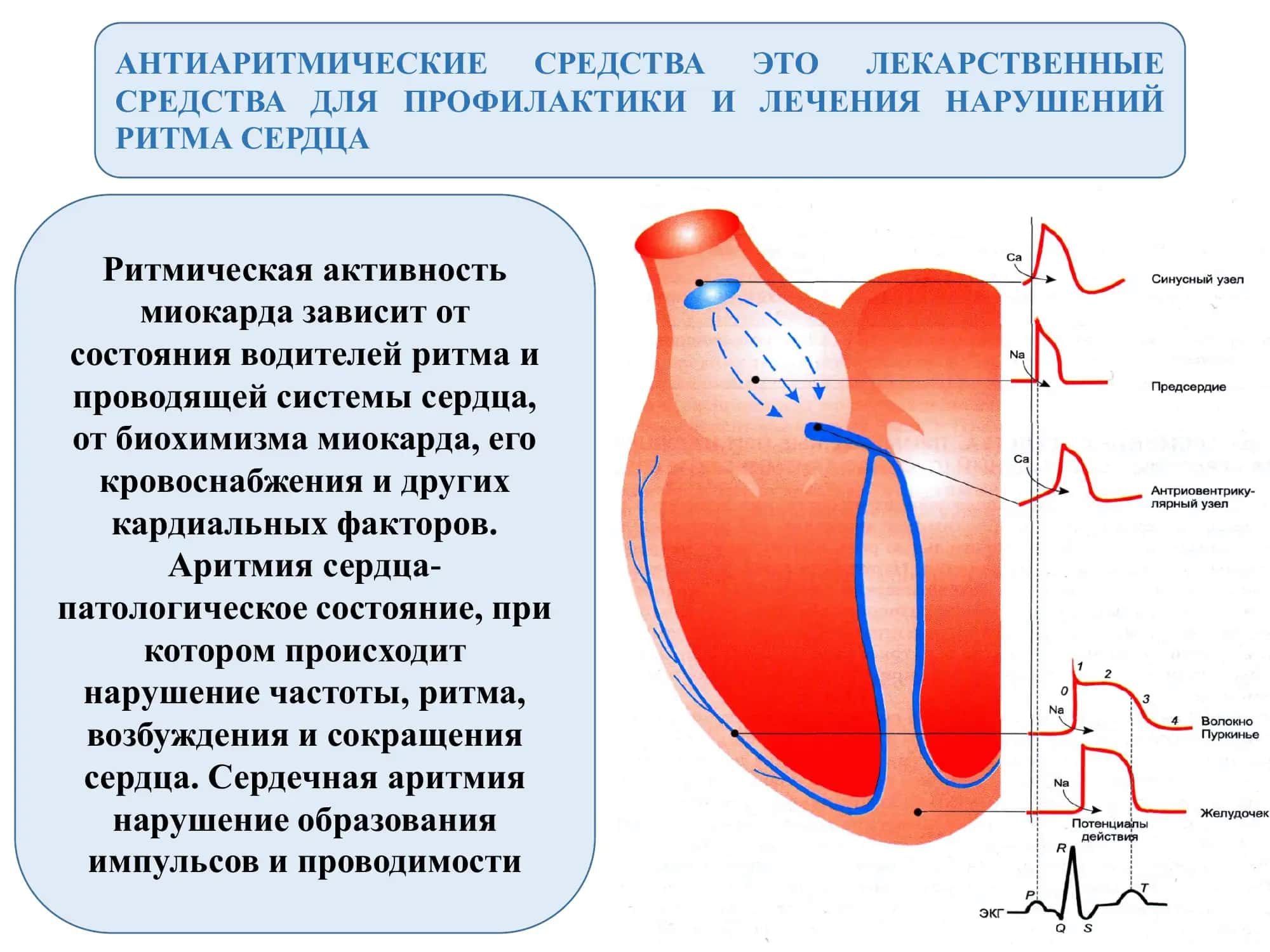 АНТИАРИТМИЧЕСКИЕ СРЕДСТВА 2