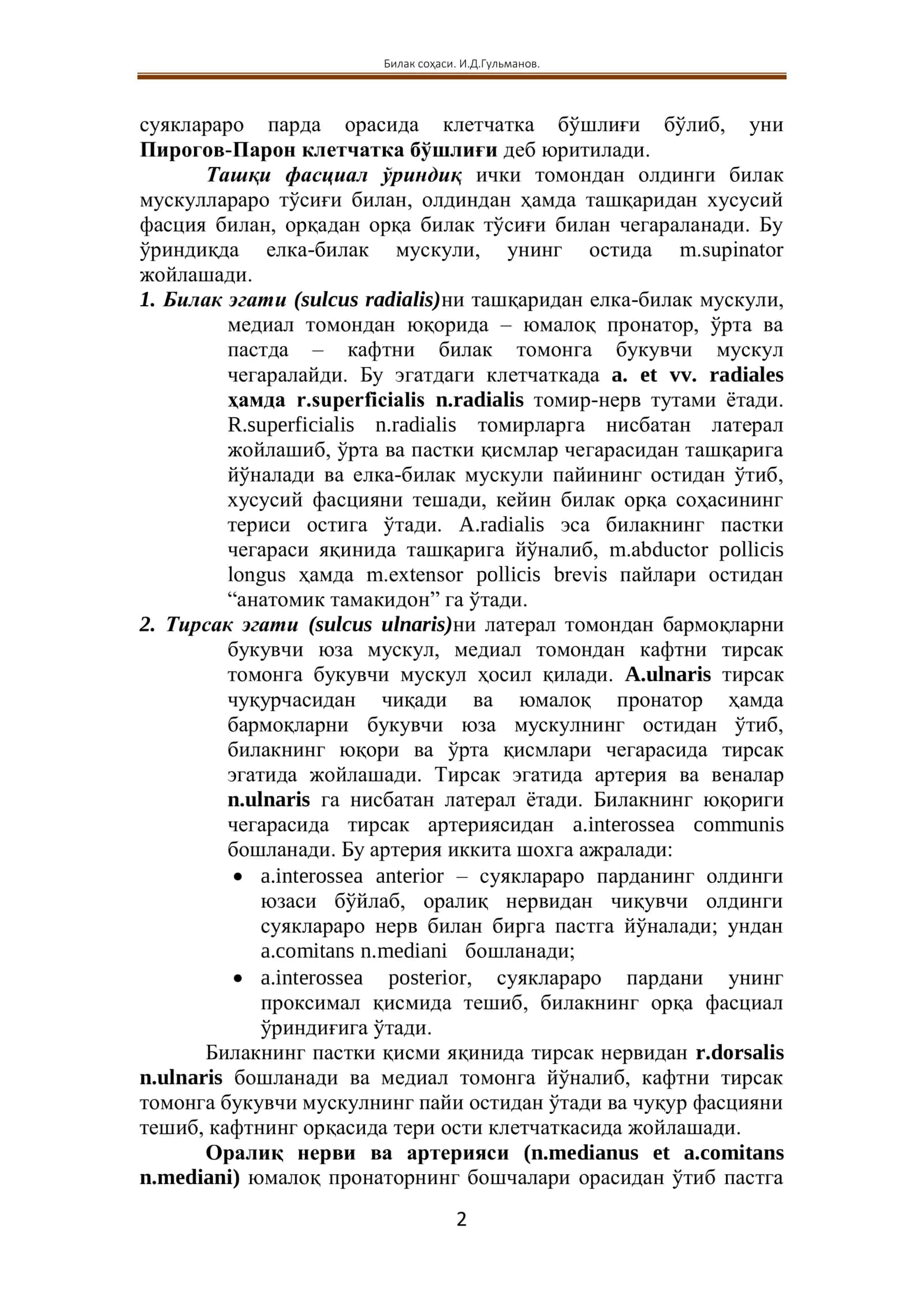 ҚЎЛНИНГ ТОПОГРАФИК АНАТОМИЯСИ 2