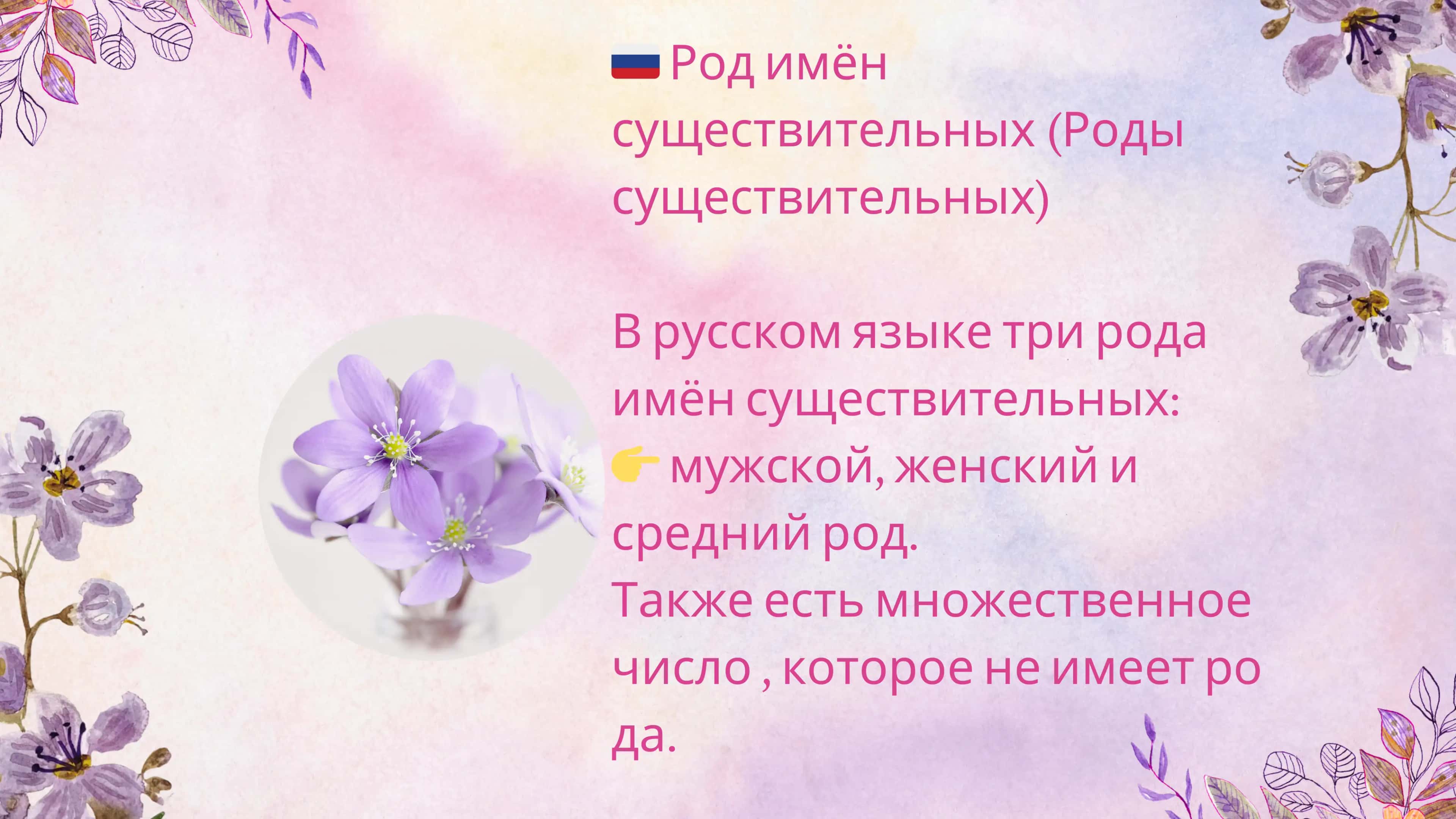 Род имён существительных 2