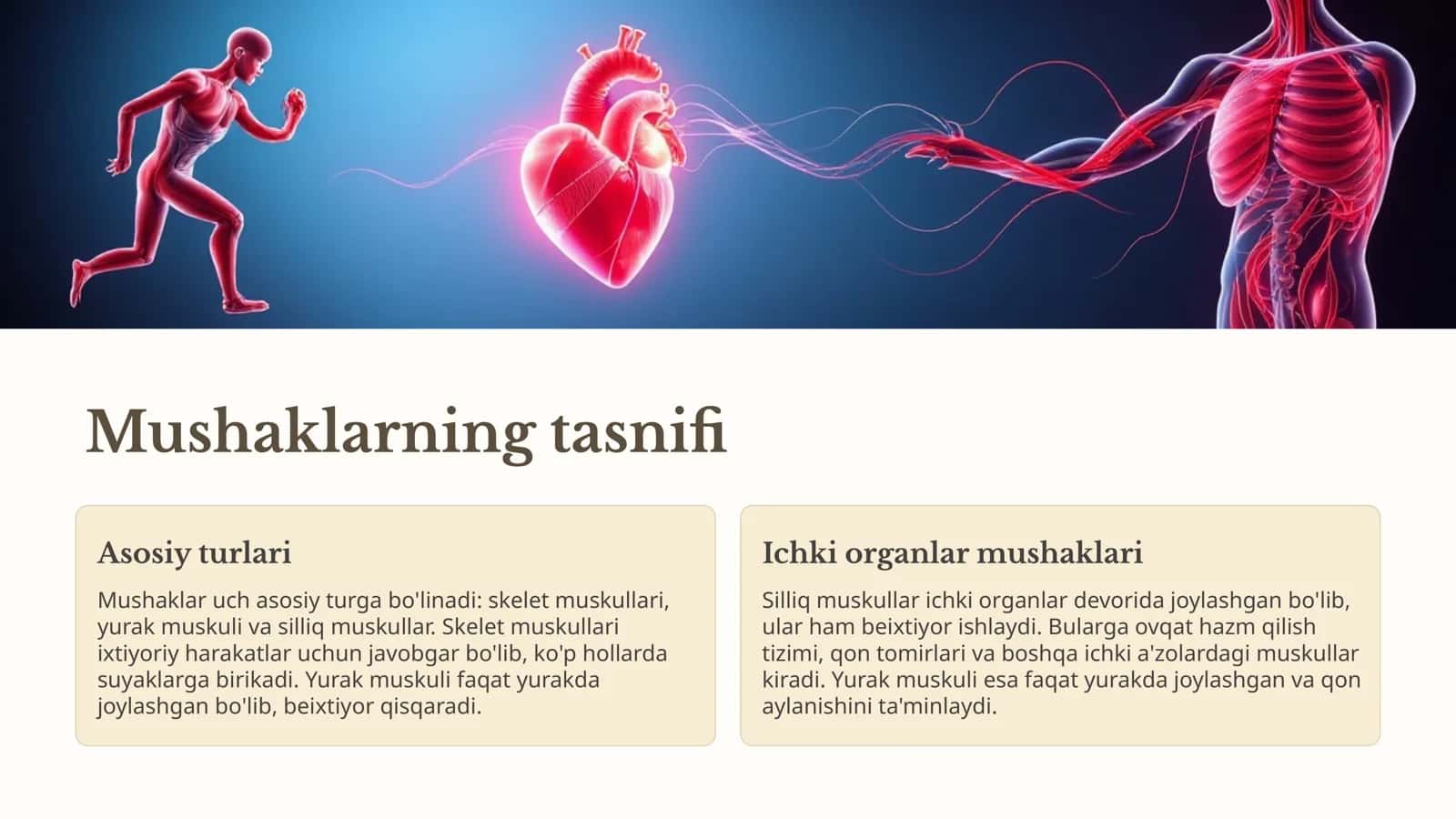 Mushaklarga umumiy nazar 2