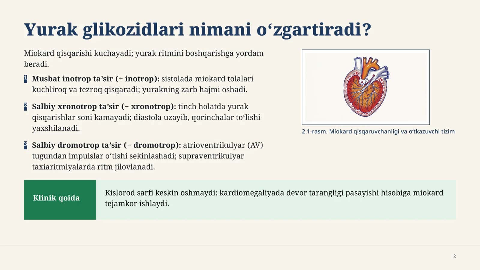 Yurak glikozidlari 2