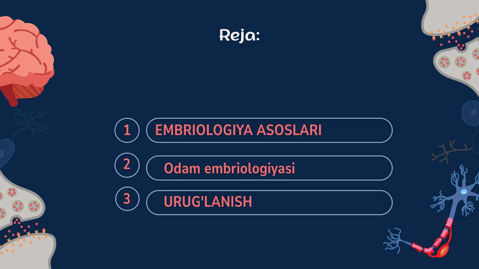 Odam Embriologiyasi 2