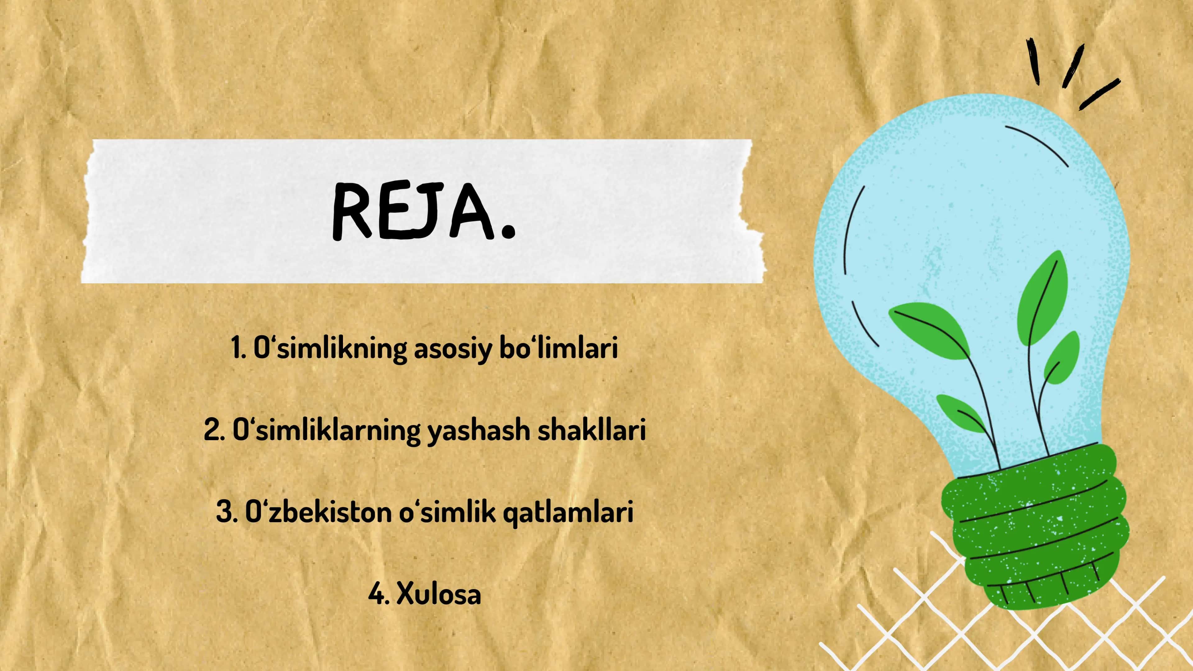 O‘zbekistonda O‘simlik Qatlamlari 2