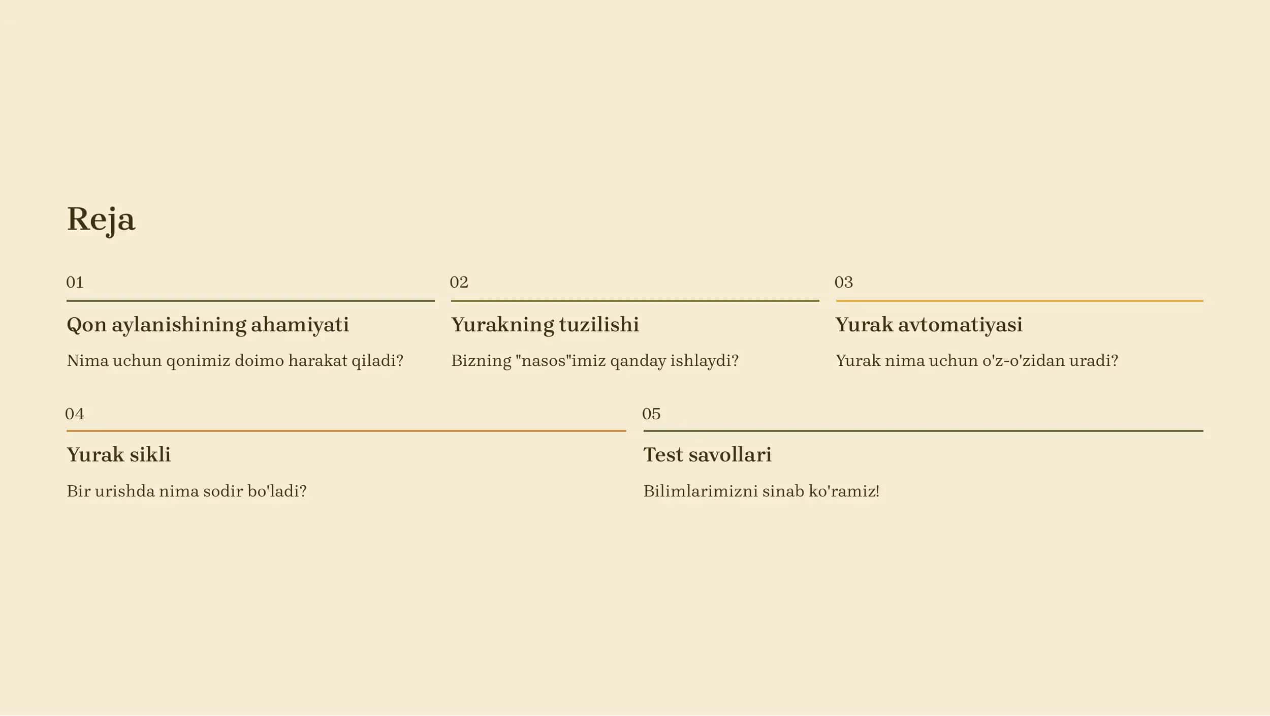 Qon Aylanishi va Yurakning Tuzilishi 2
