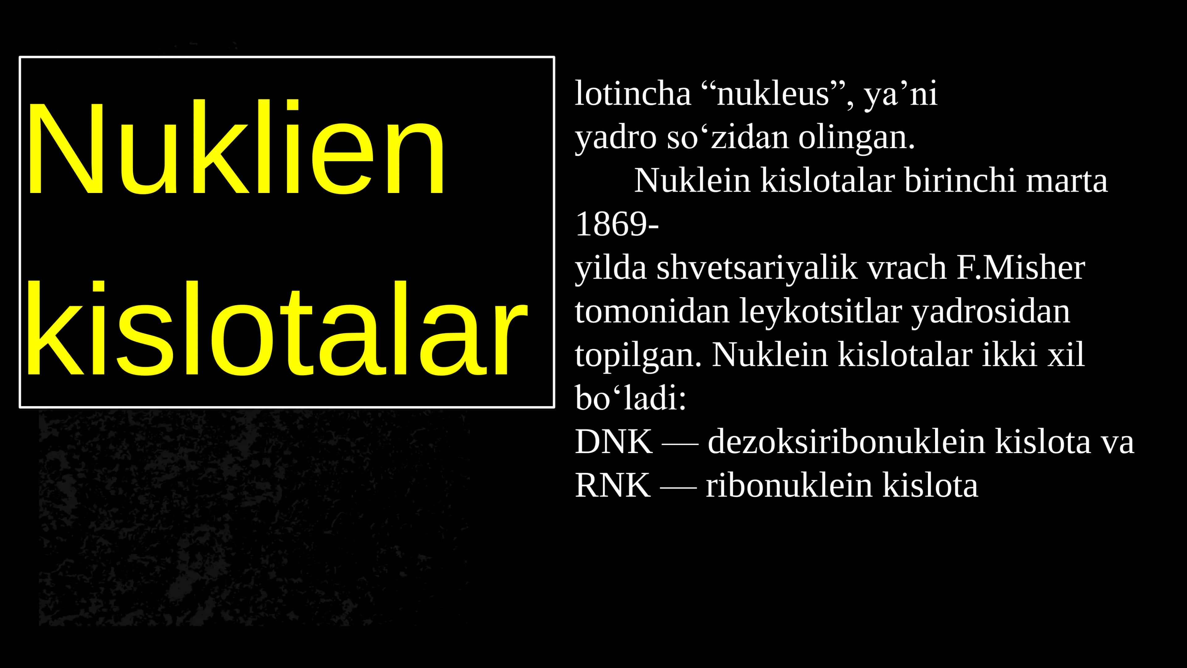 Nuklein kislotalar tuzilish va funksiyalari 2
