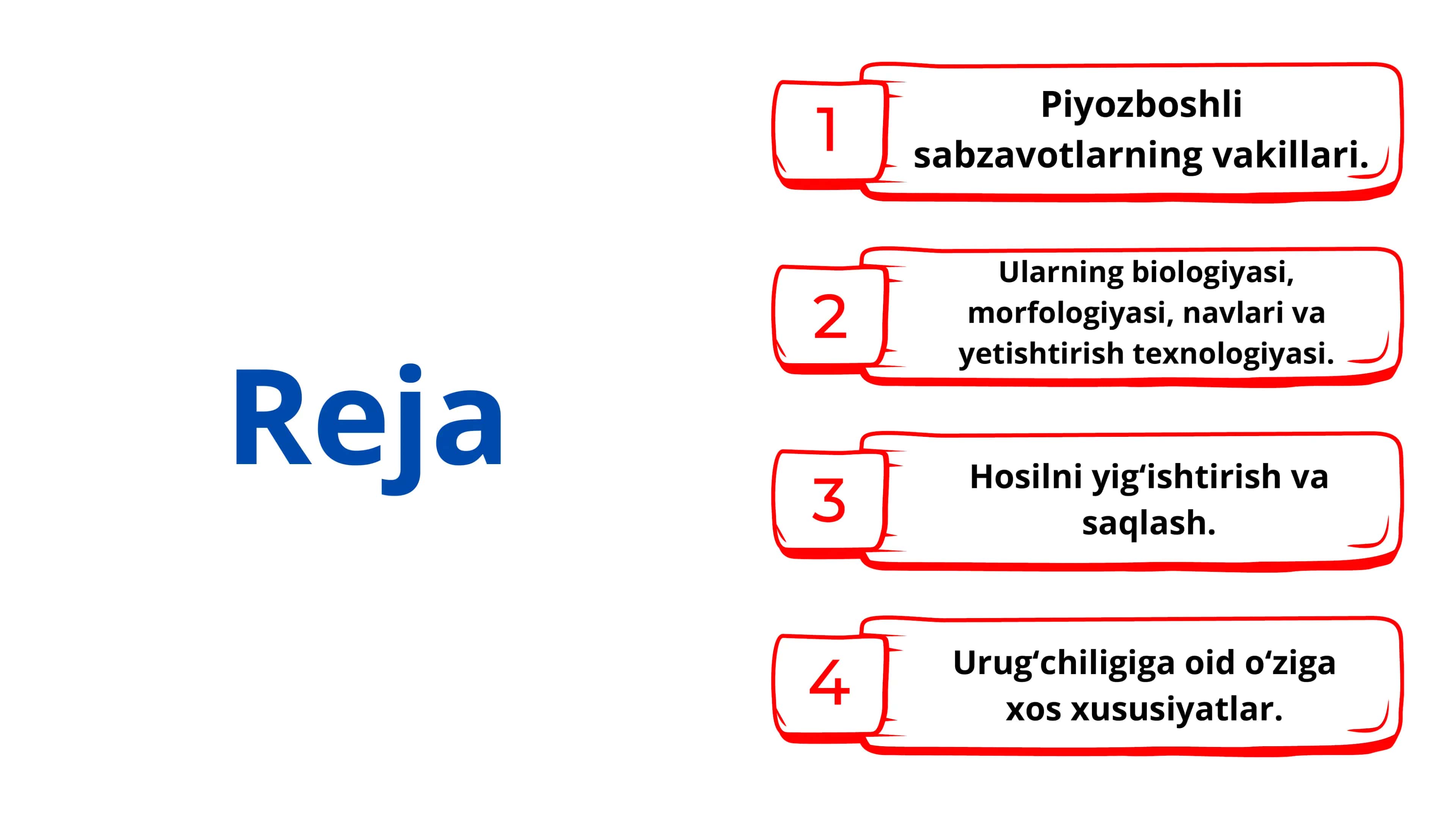 Piyozboshli sabzavot ekinlari 2