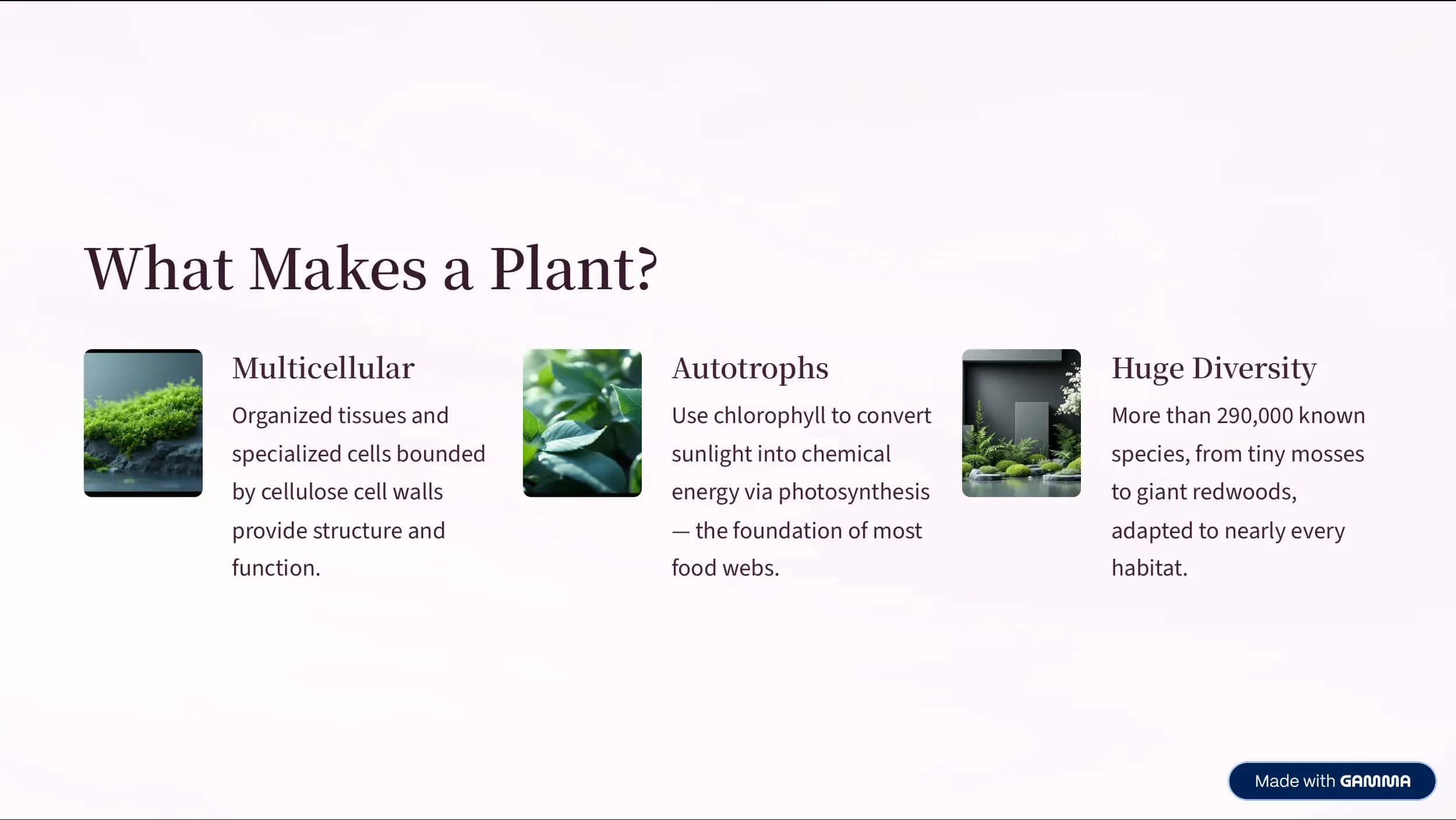 Essential Plant Parts 2
