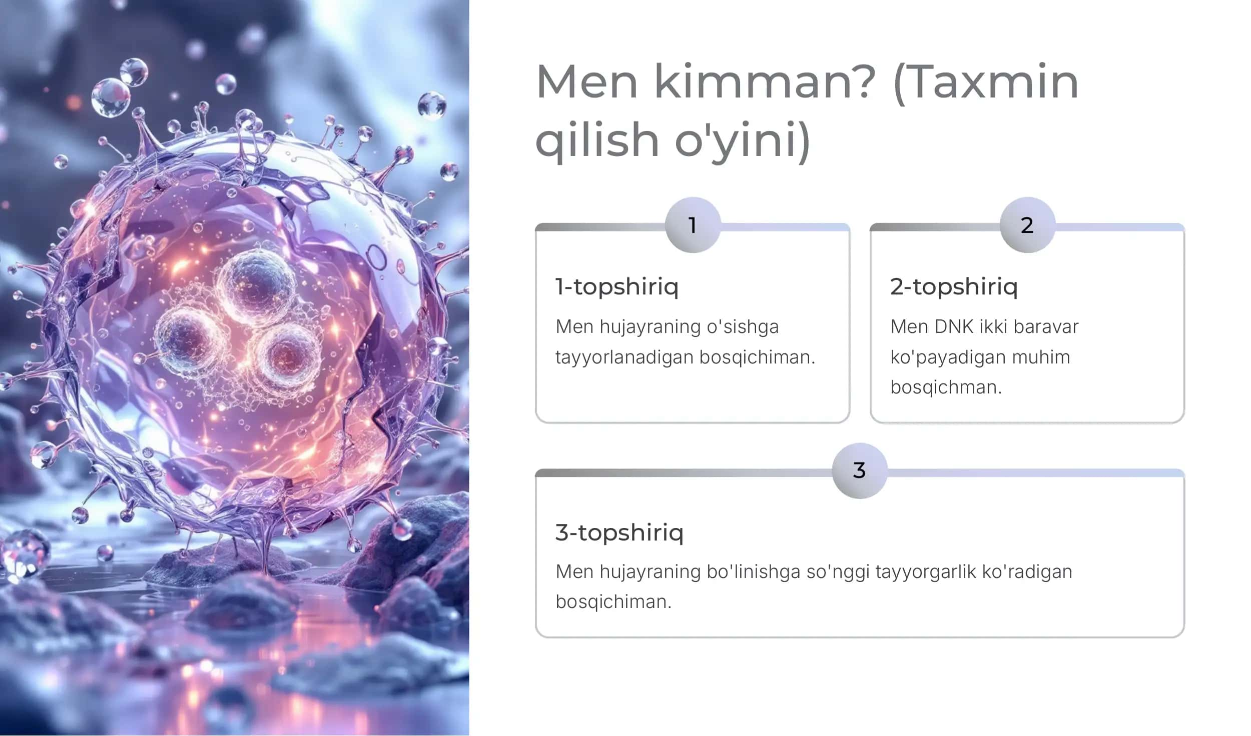 Hujayra Sikli Viktorinasi: Interfaza va Mitoz 2