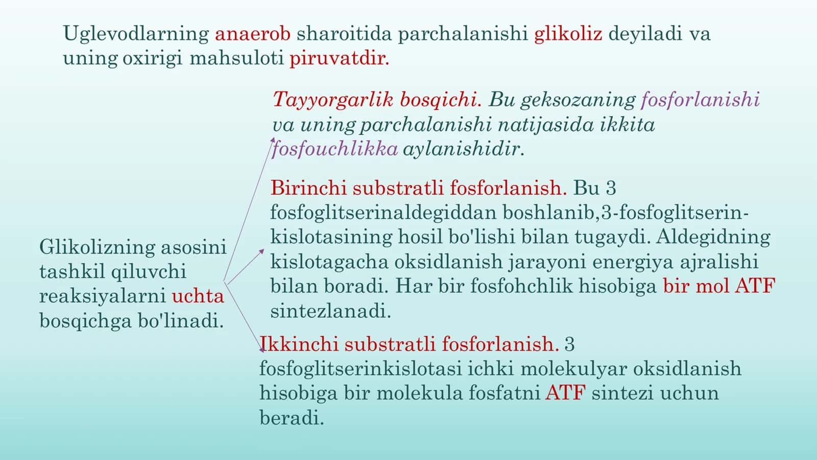 Glikolizning hujayra metobolizmidagi o’rni 2