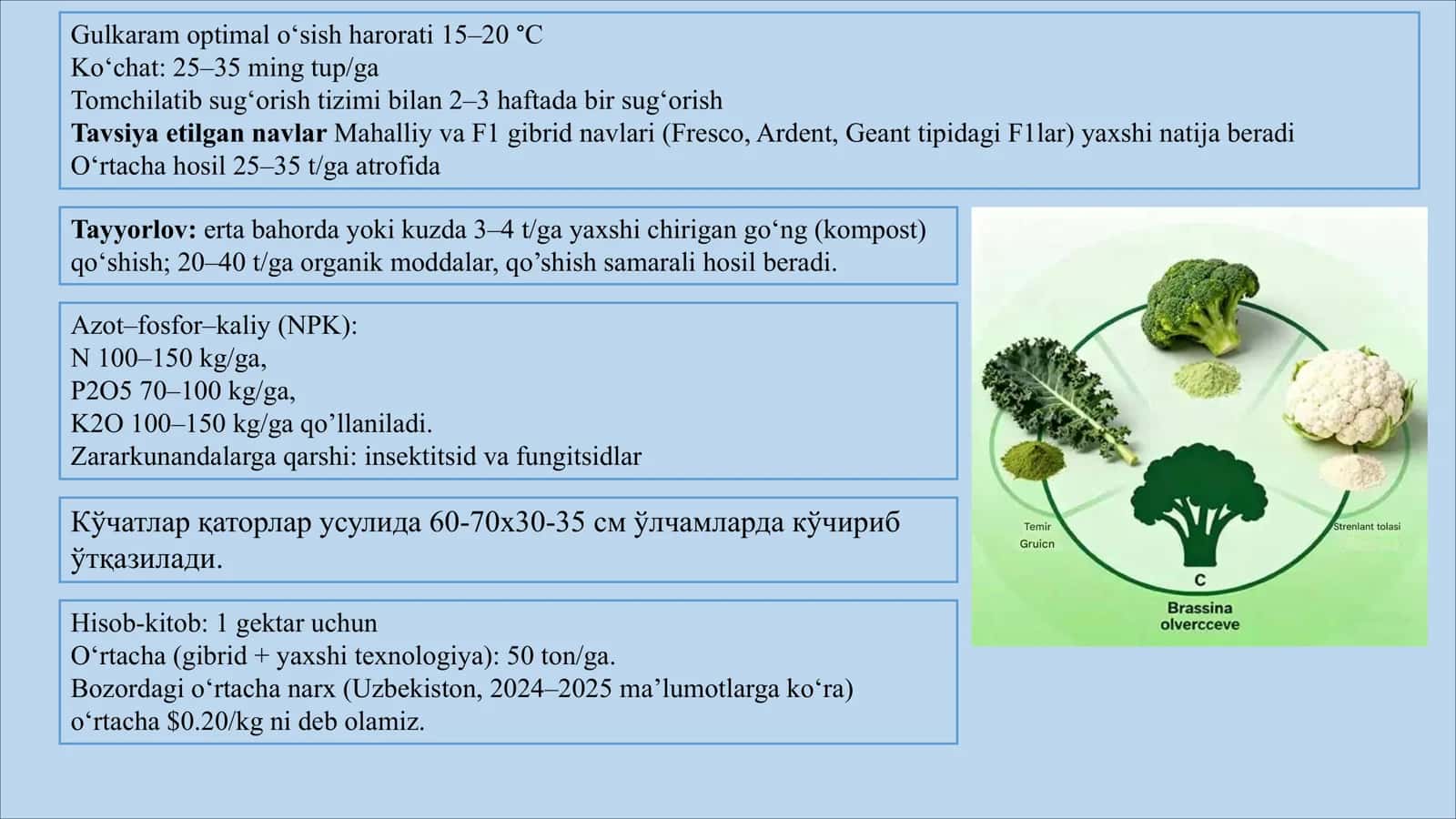 GULKARAM YETISHTIRISH TEXNOLOGIYASI 2