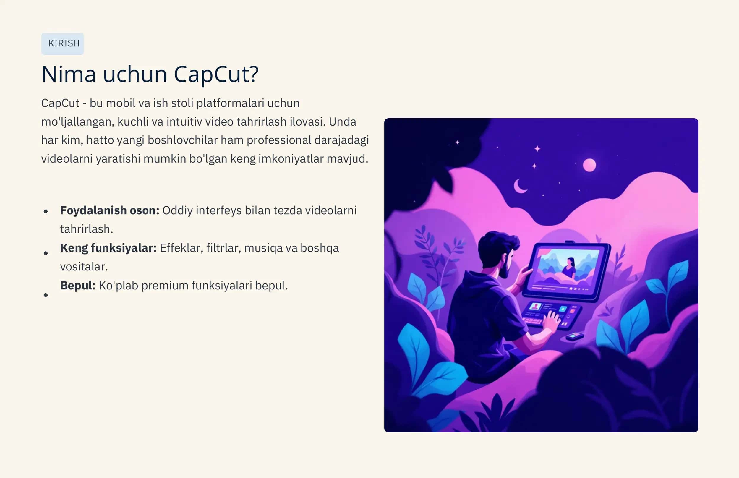 CapCut: Professional video 2