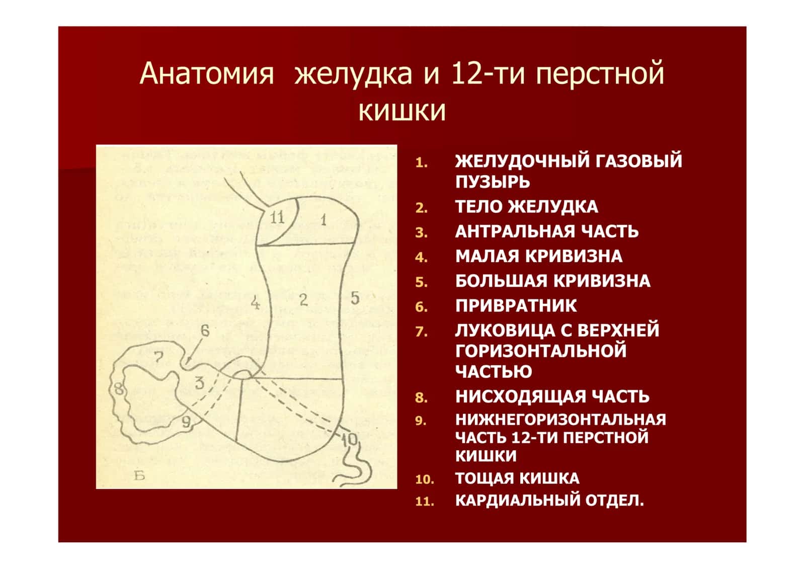 Рентгенодиагностика язвенной болезни 2