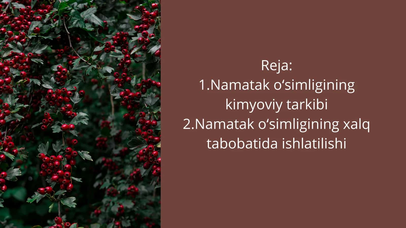 Na'matakning kimyoviy tarkibi 2
