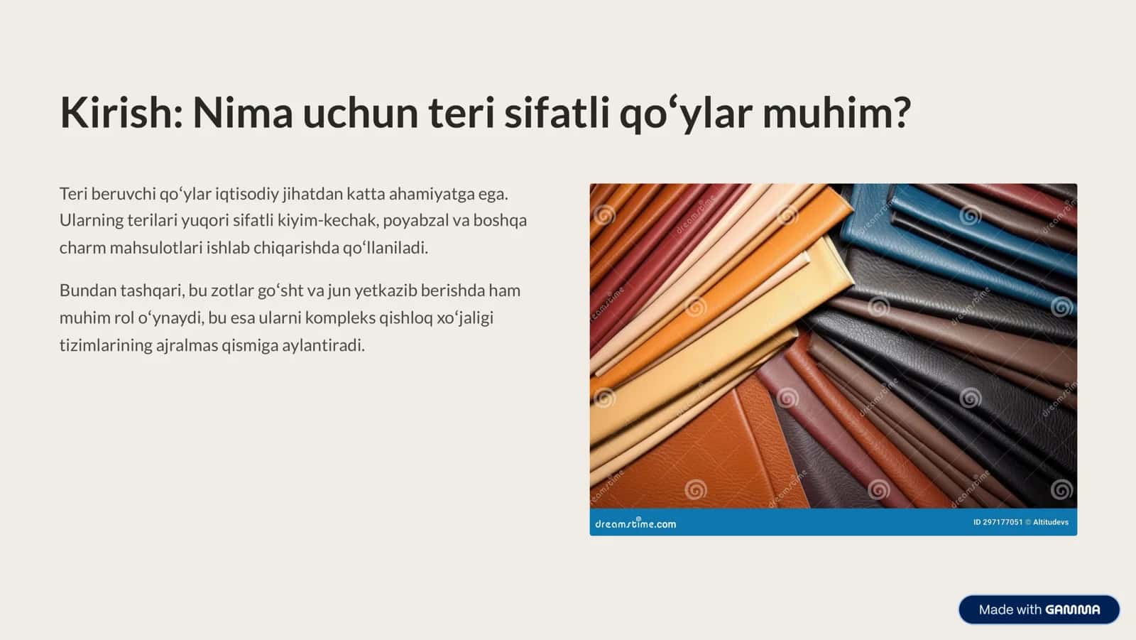 Teri Beruvchi Qo'y Zotlari 2