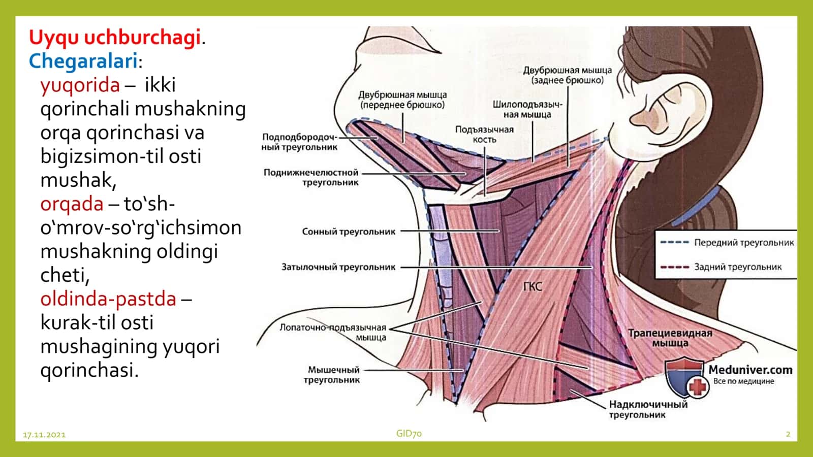 Toshkent tibbiyot akademiyasi Anatomiya 2
