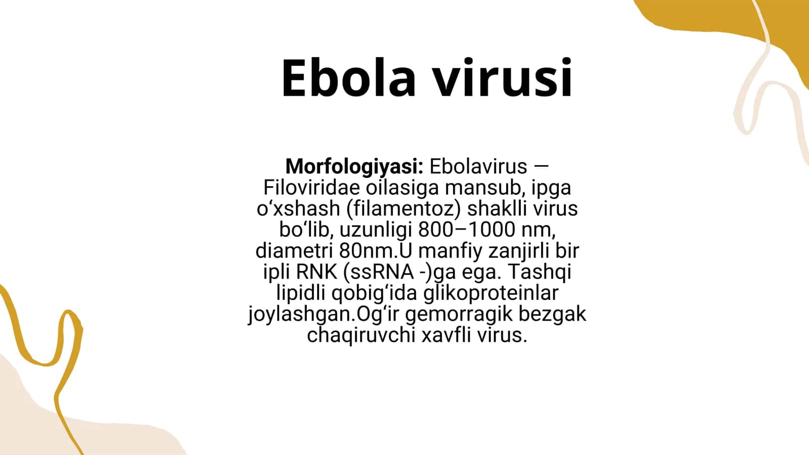 Ebola, lassa, zika viruslari, kasalliklari 2
