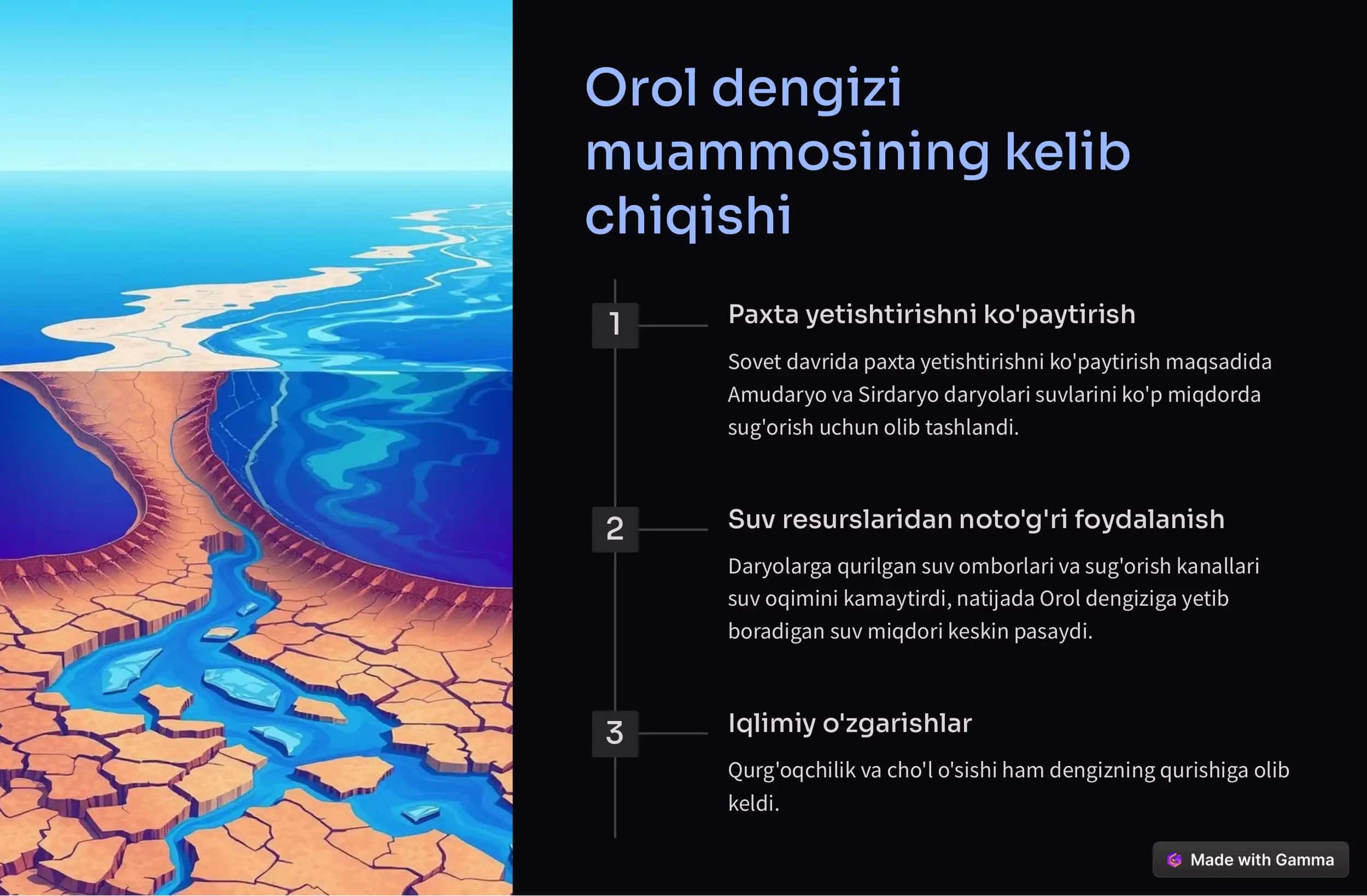 Orol dengizi 2