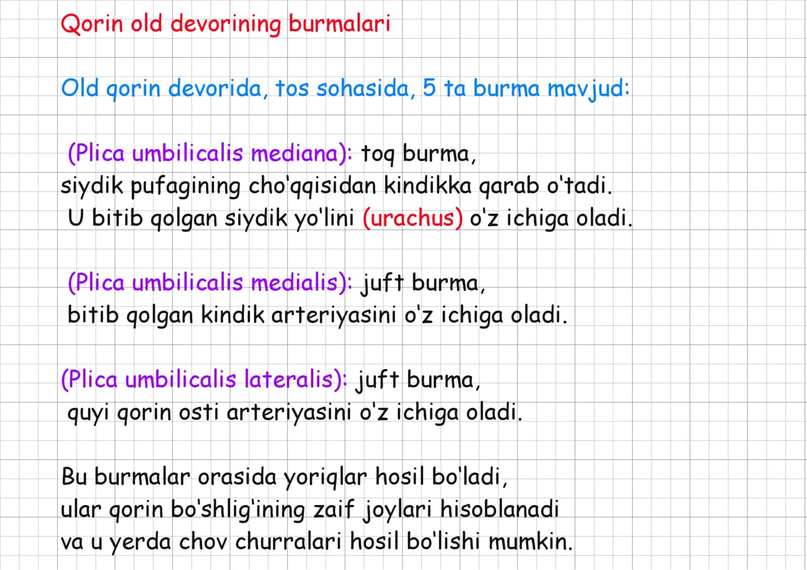 Qorin pardasi, peritoneum. 2