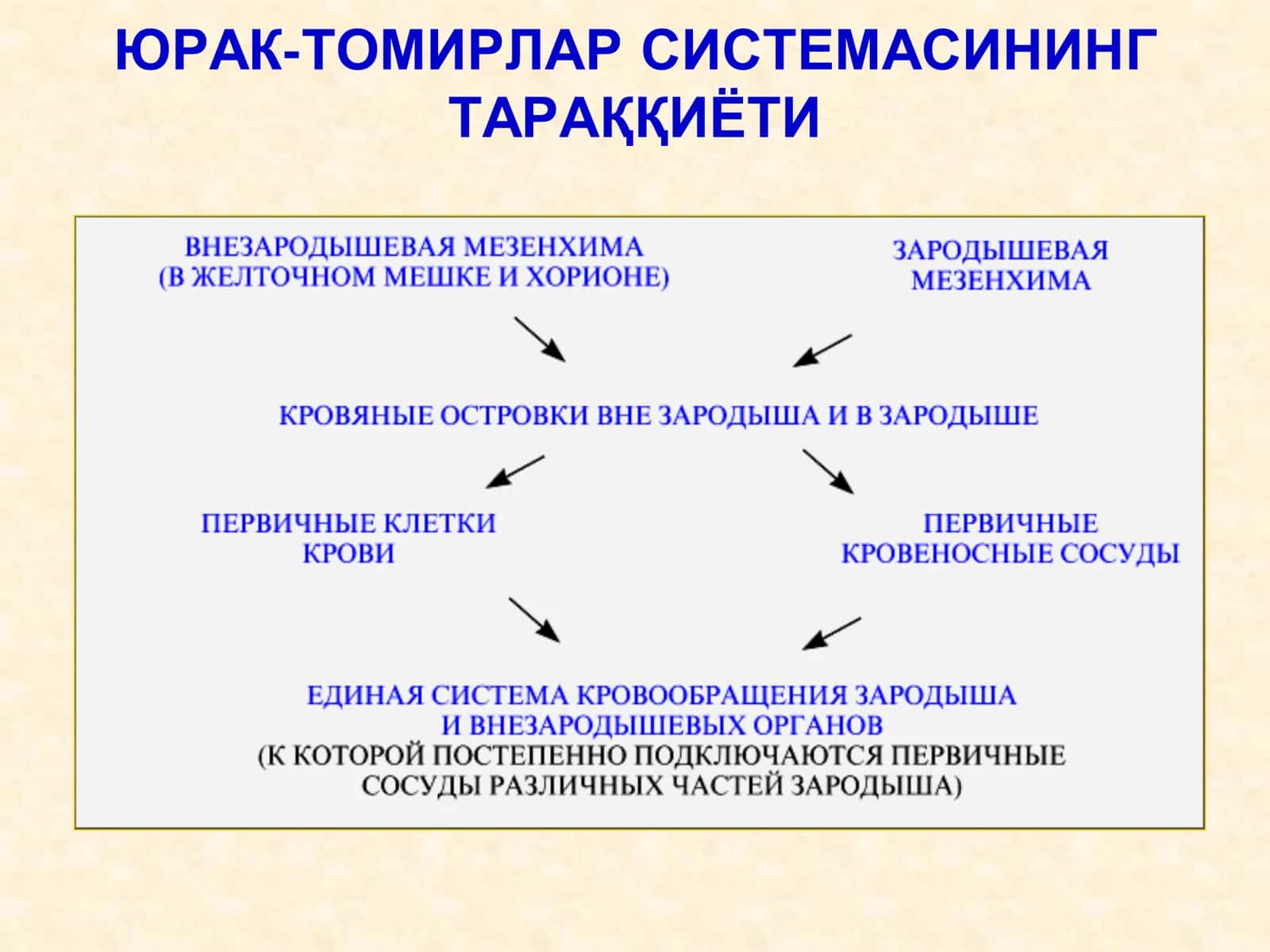 ЮРАК-ТОМИРЛАР СИСТЕМАСИ 2