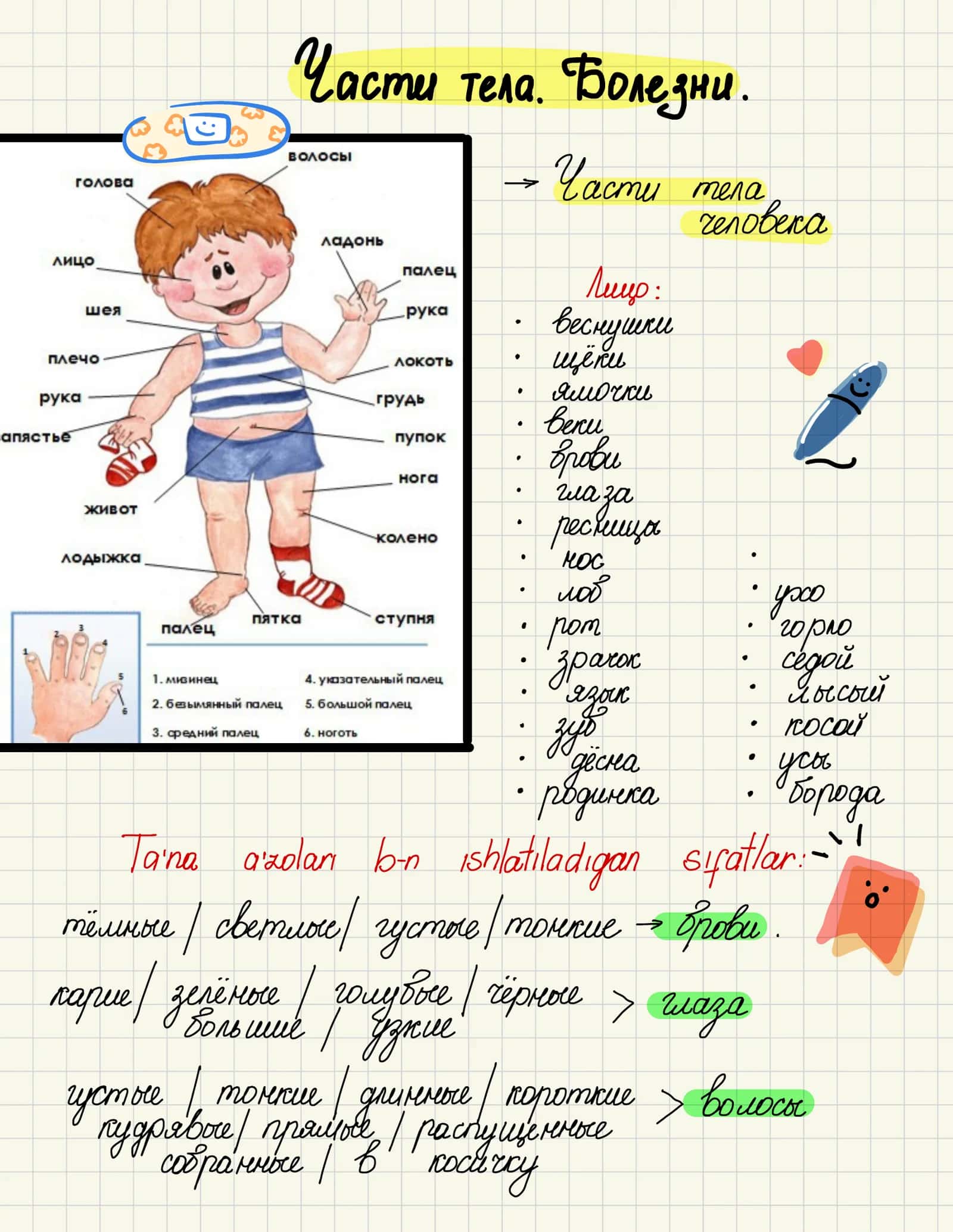 Tematik slovar 8. Части тела. Болезни. 2