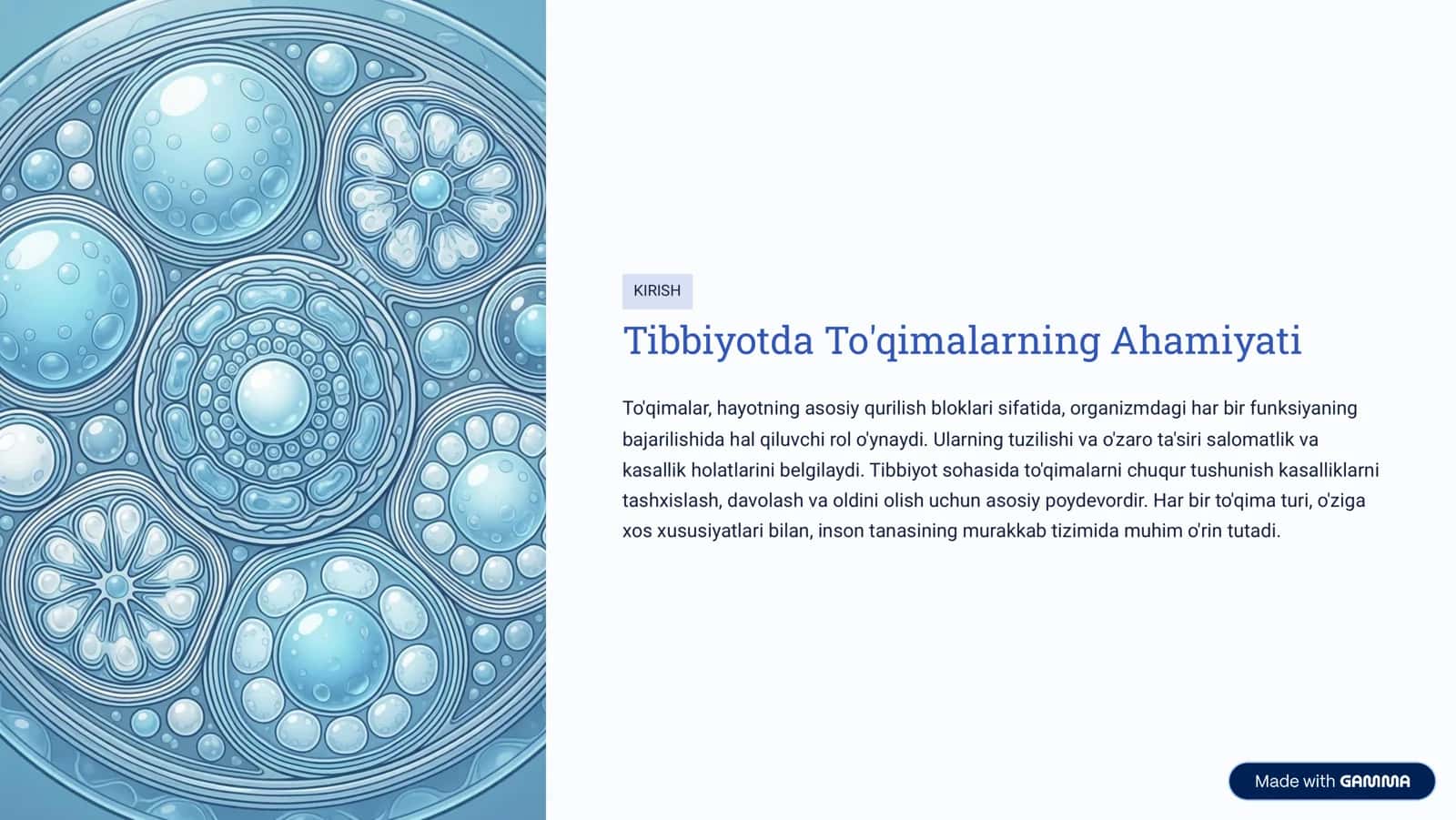 Ko'p Tarmoqli Tibbiyot 2