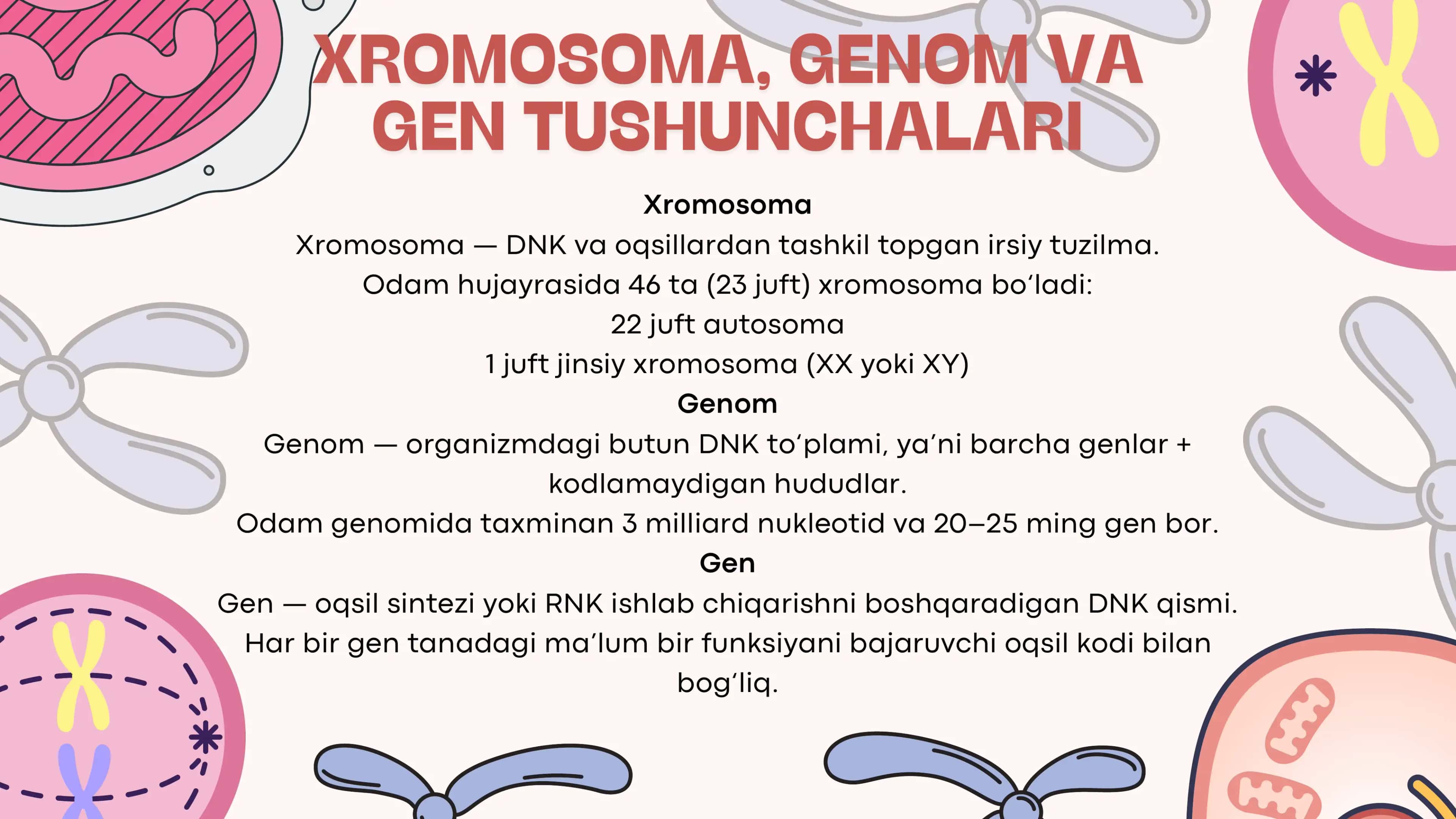 ODAM XROMOSOMA, GENOM VA GEN KASALLIKLARI 2