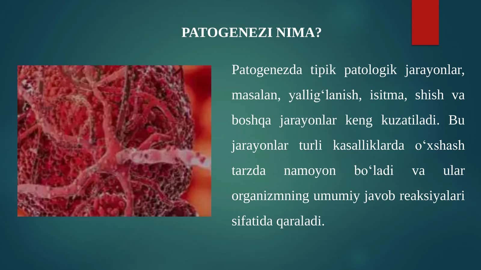 PATOGENEZI 2