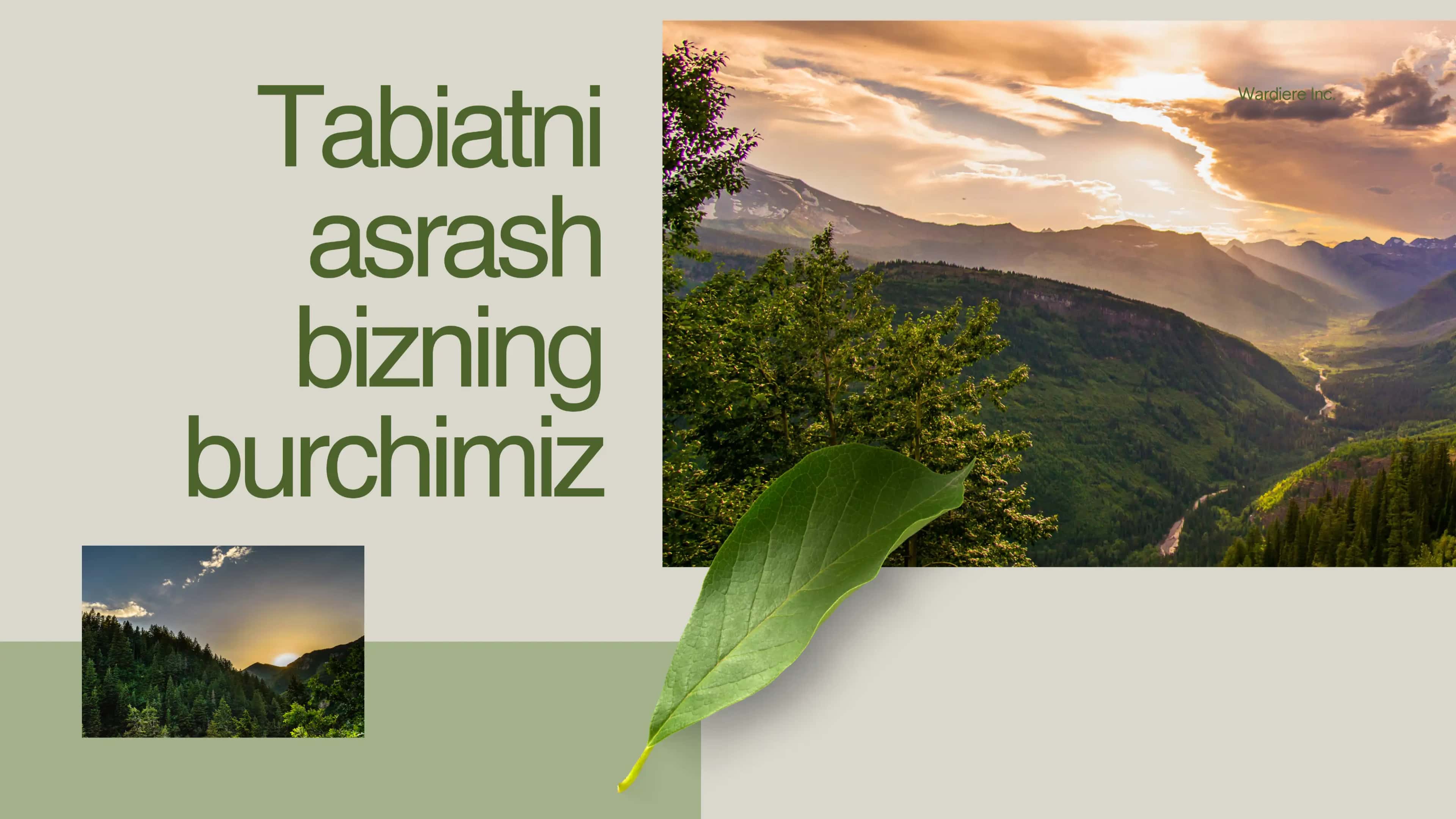 tabiatni asrash bizning burchimiz 2