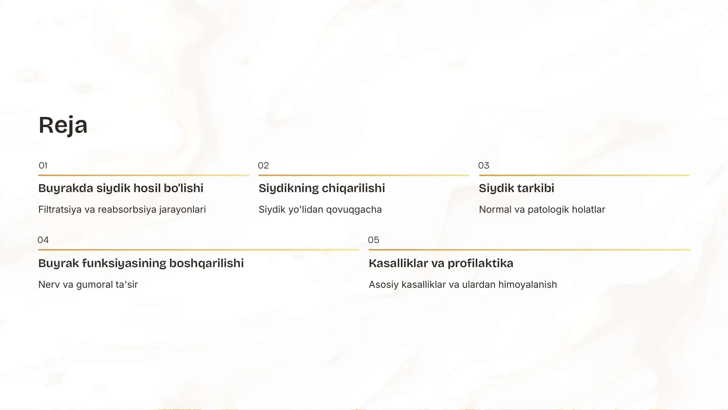 Siydik ajratish organlarining funksiyasi 2