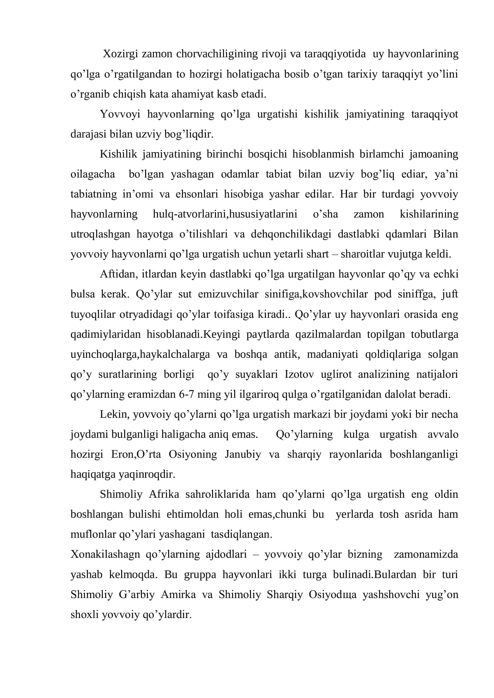 Qo’y zotlari 2