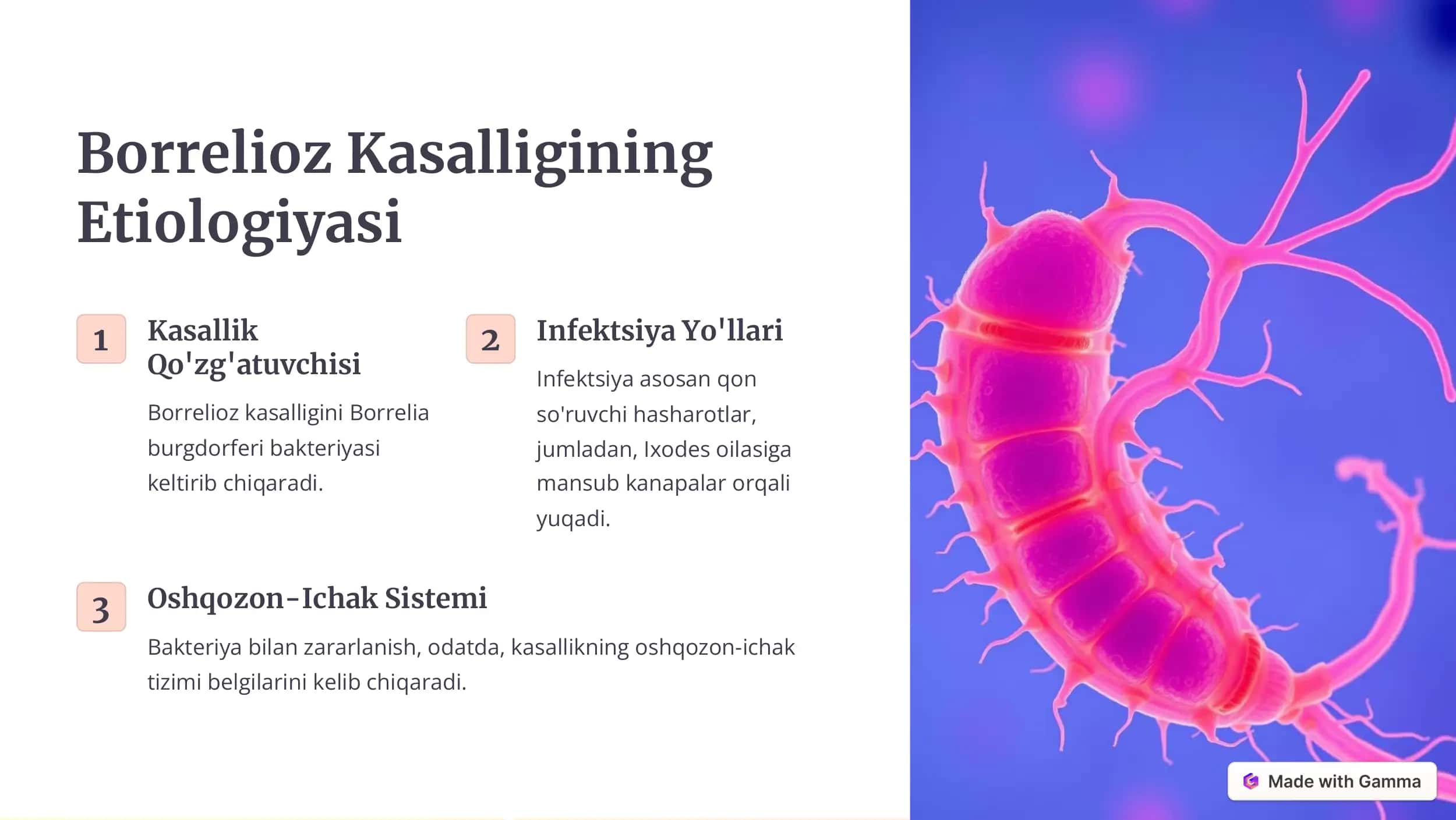 Borrelioz Kasalligi 2
