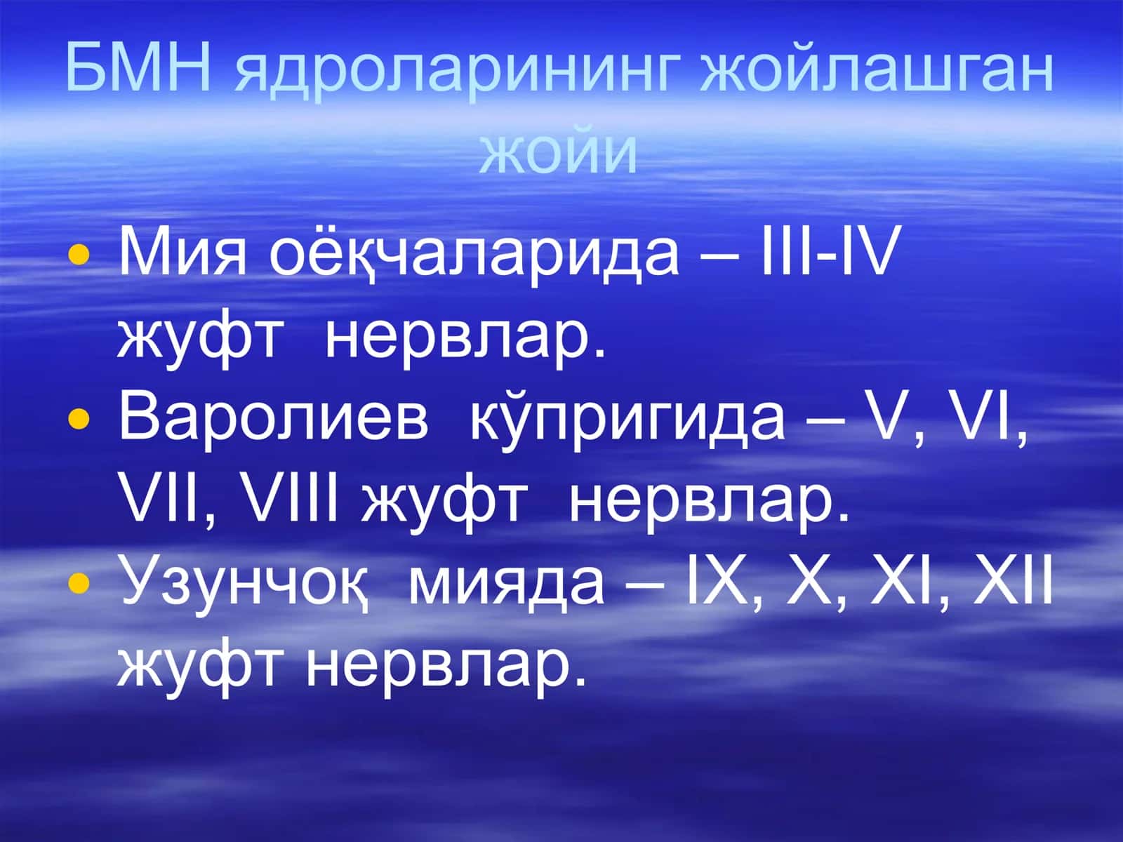 Мия оёқчаларида – III-IV жуфт нервлар 2