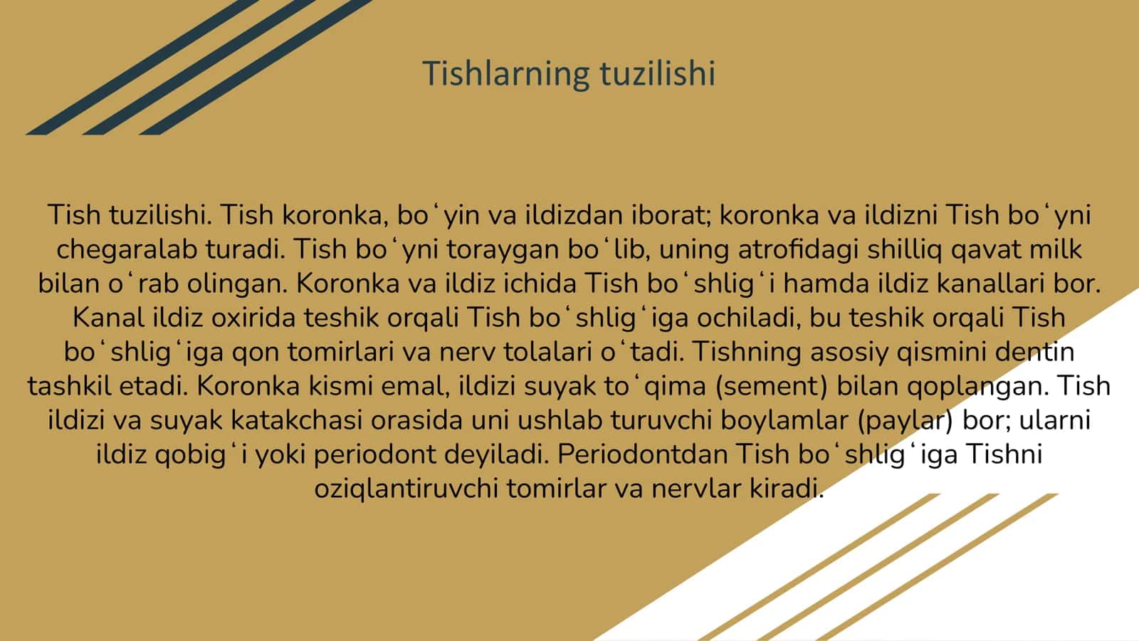 Tishlarning anatomik tuzilishi 2