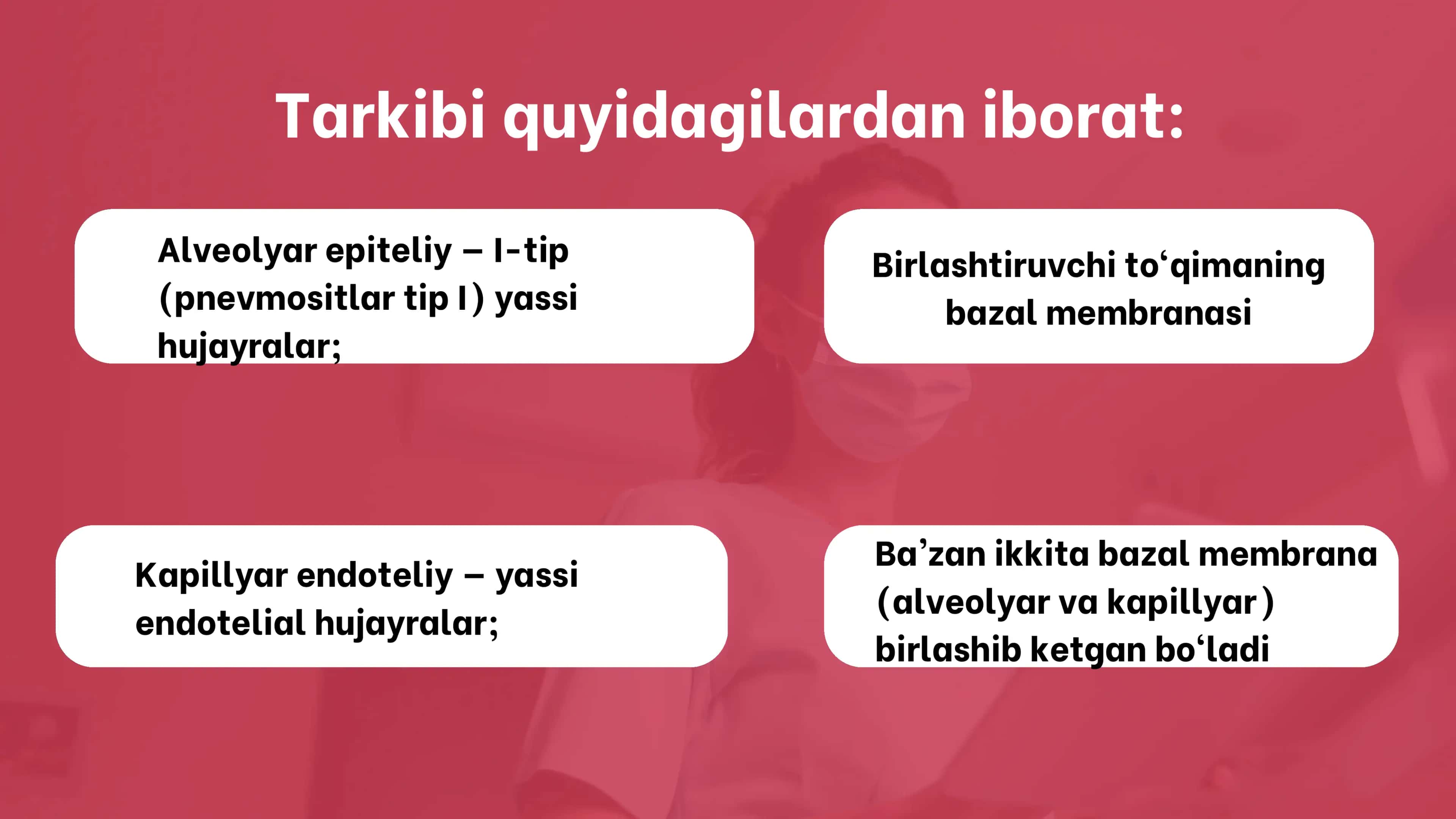 Havo-qon to'sig'ining tuzilishi, vazifalari va patalogiyasi. Atsinusning gistofiziologiyasi. O'pkani 2
