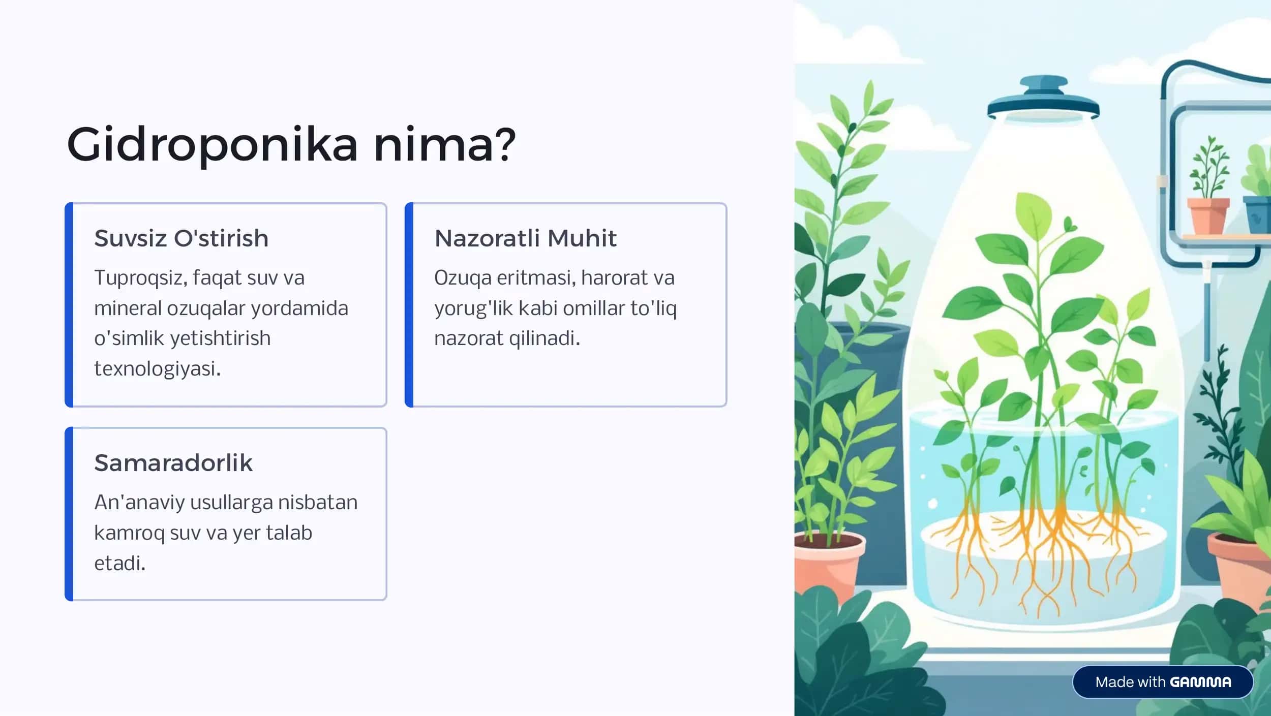 Gidroponika usulida mahsulot yetishtirishning biotexnologik asoslari 2
