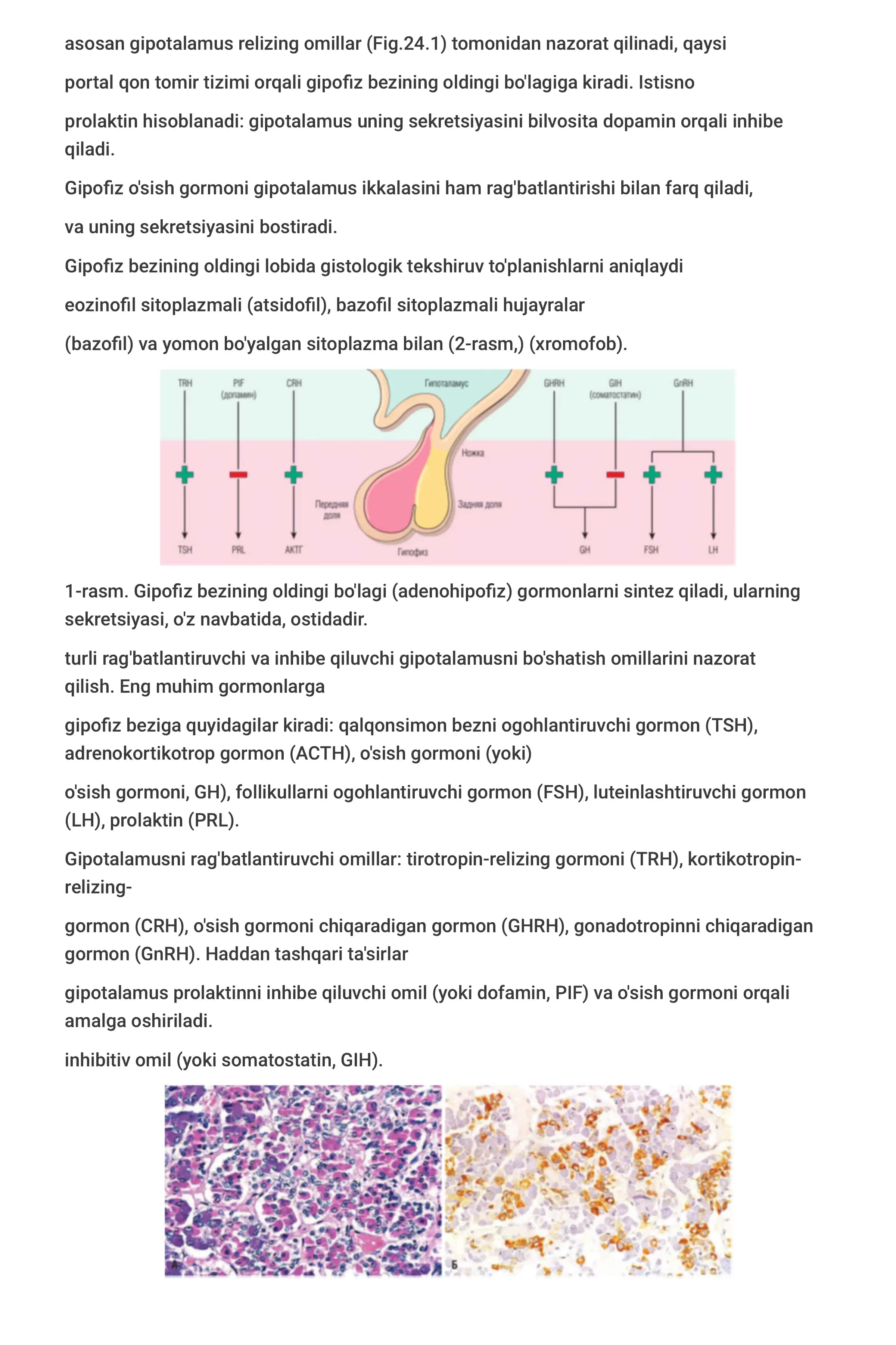 Patologik anatomiya 2