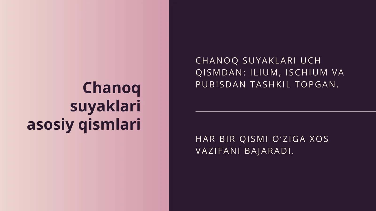 Chanoq kamari tuzilishi 2