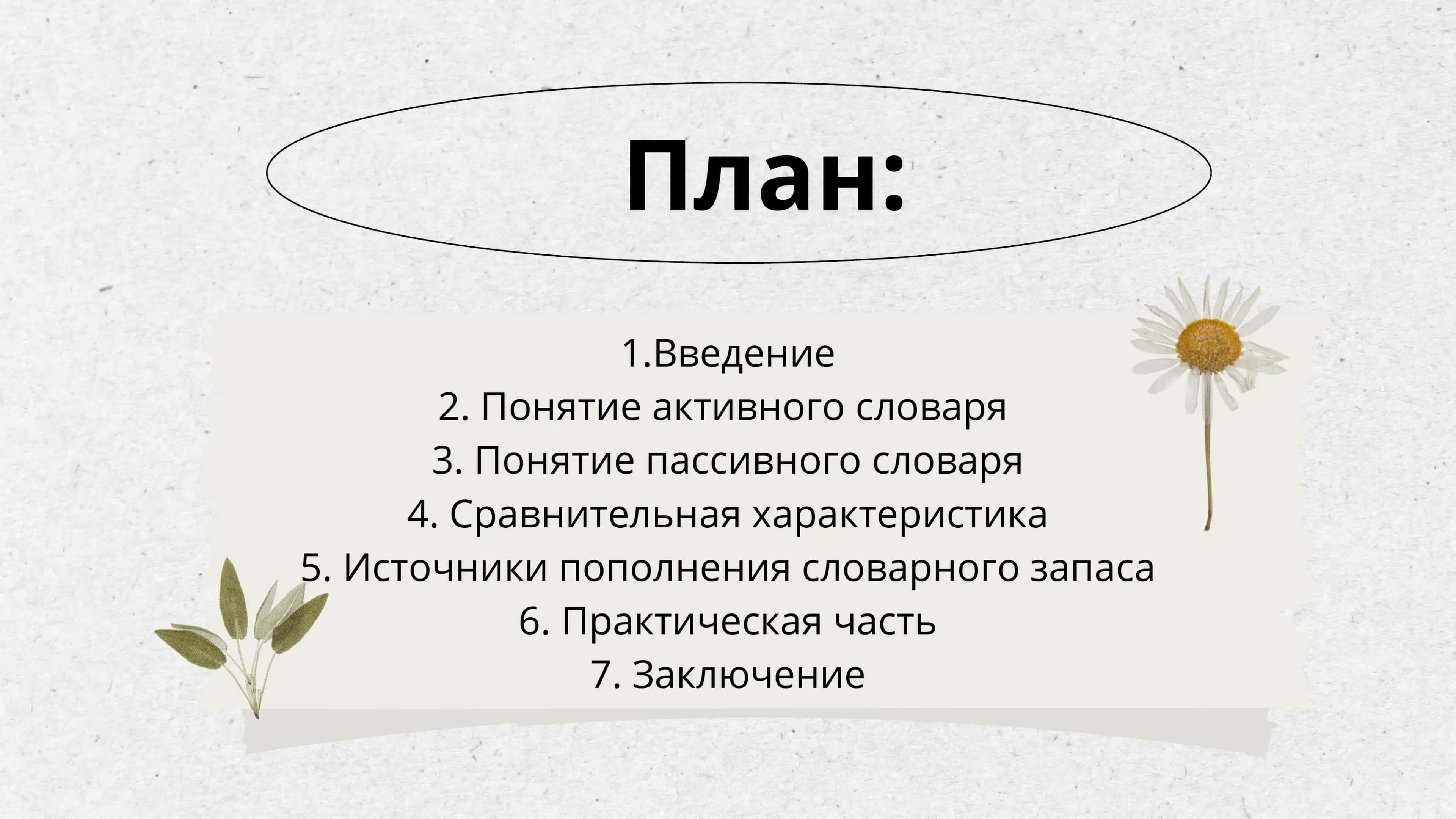 Активный и пассивный словарный состав 2