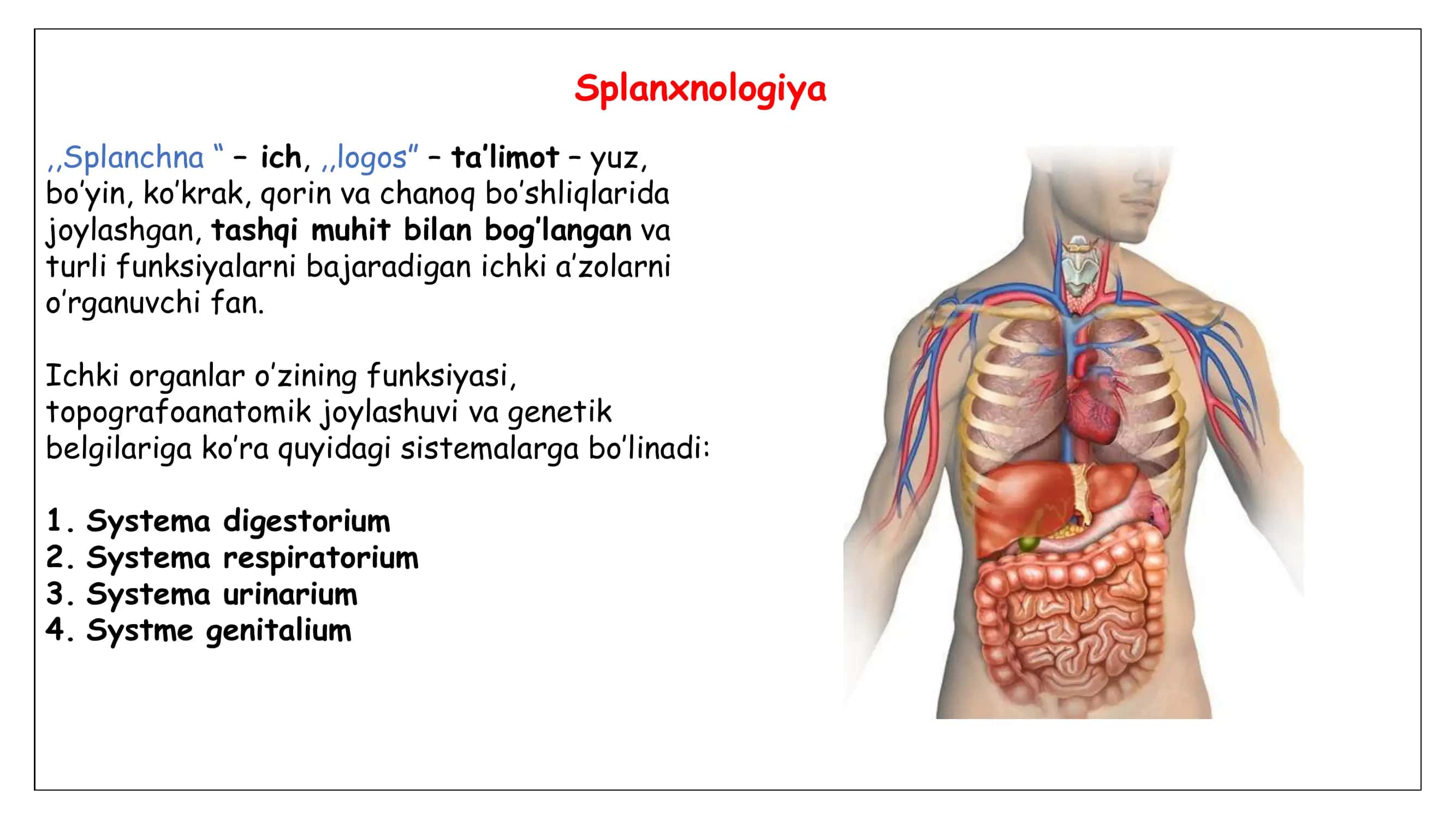 Splanxnologiya 2