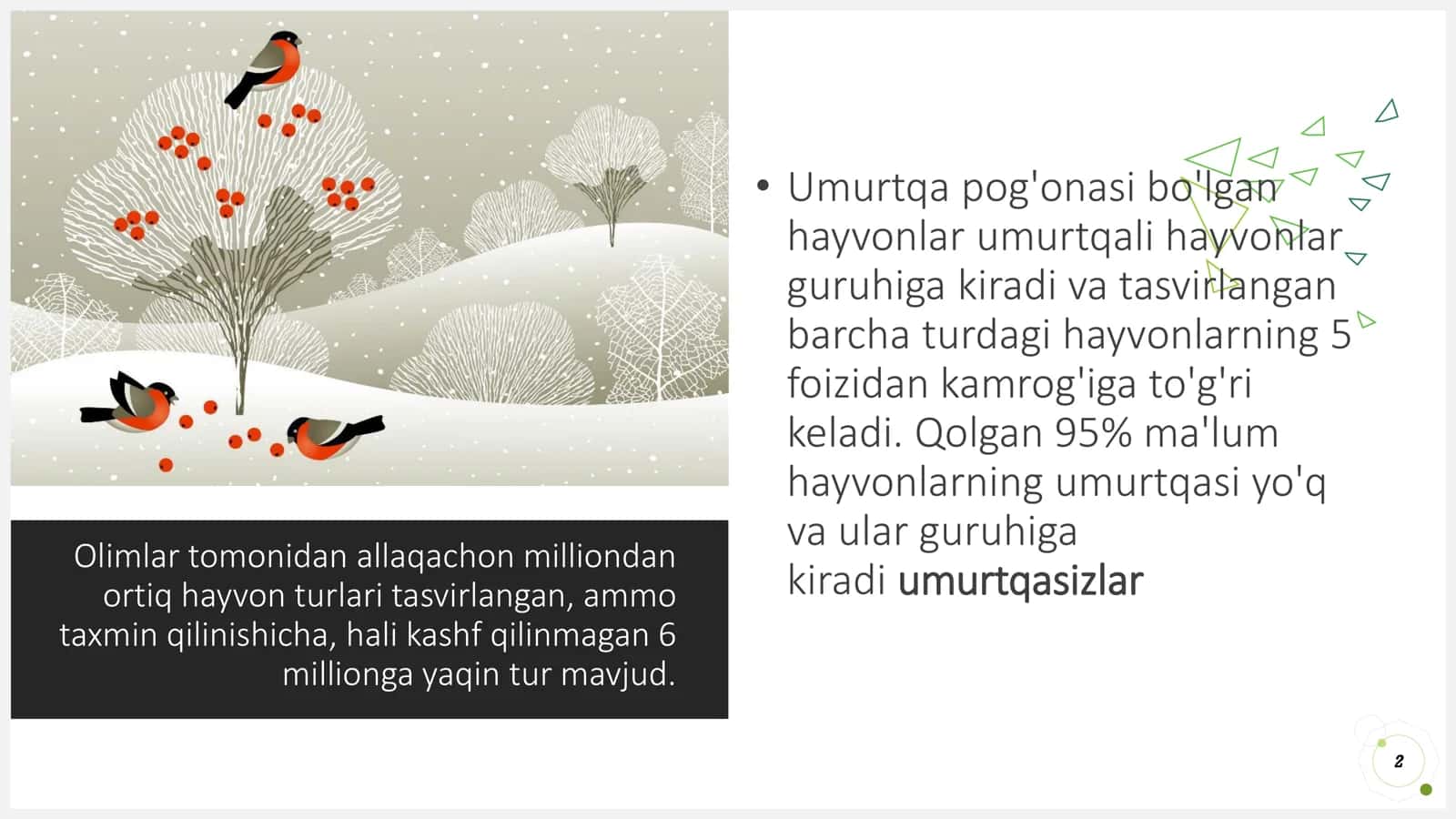 Umurtqasiz hayvonlar 2