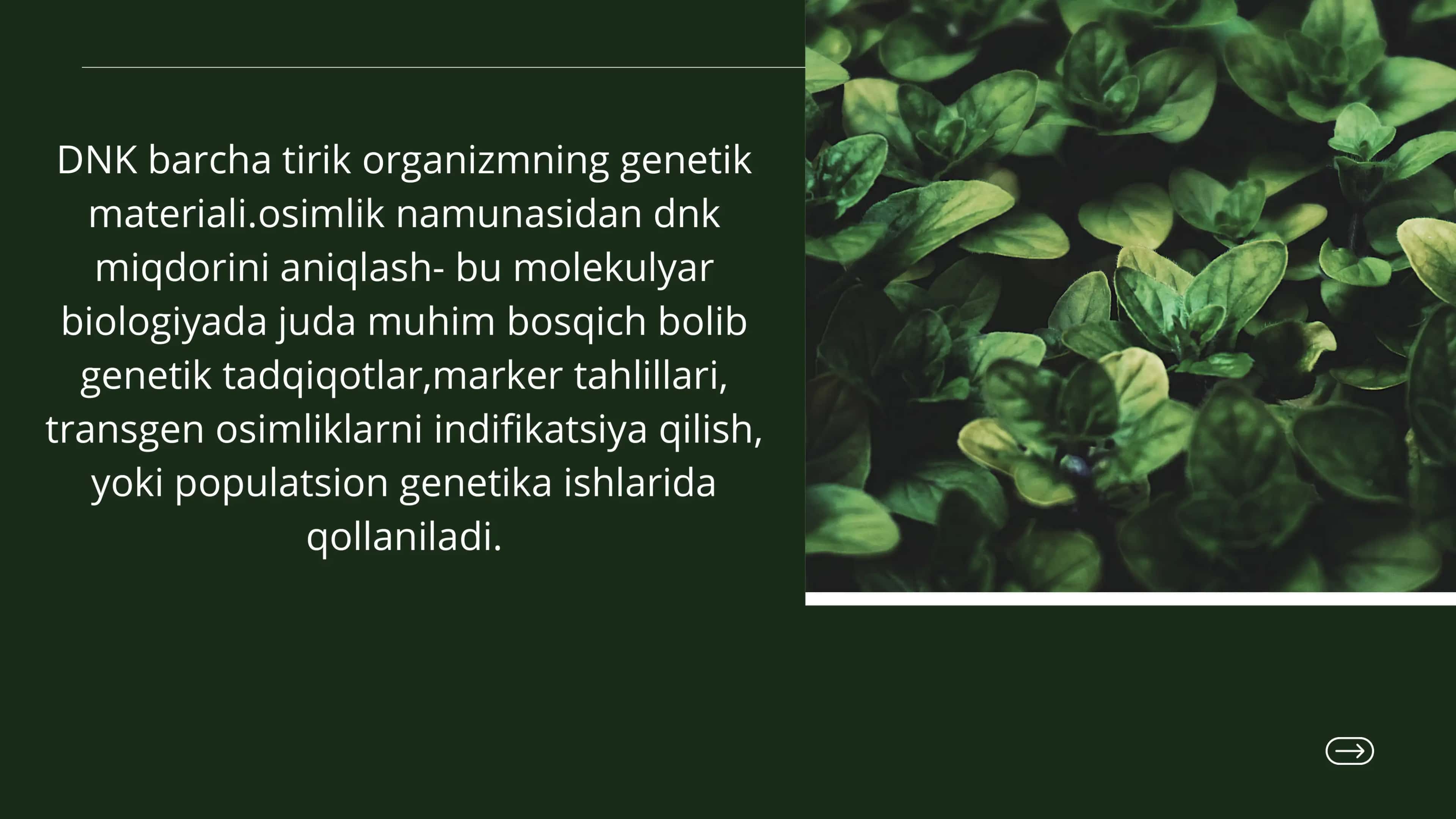 DNK haqida prezintatsiya 2