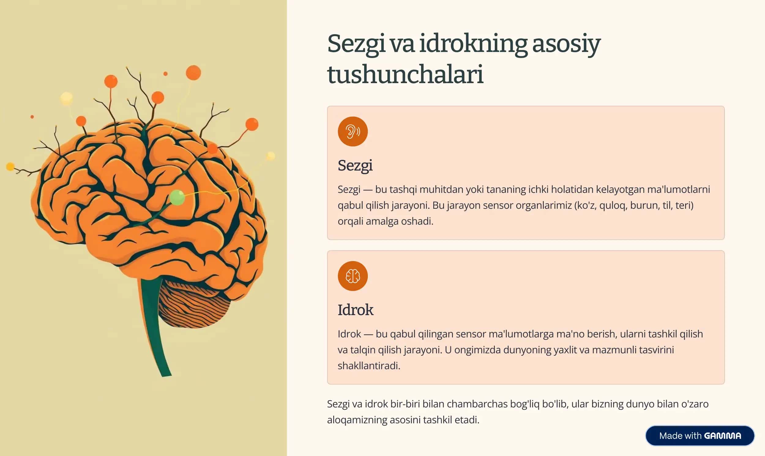 Sezgi va idrokni psixologik o'lchovlar 2