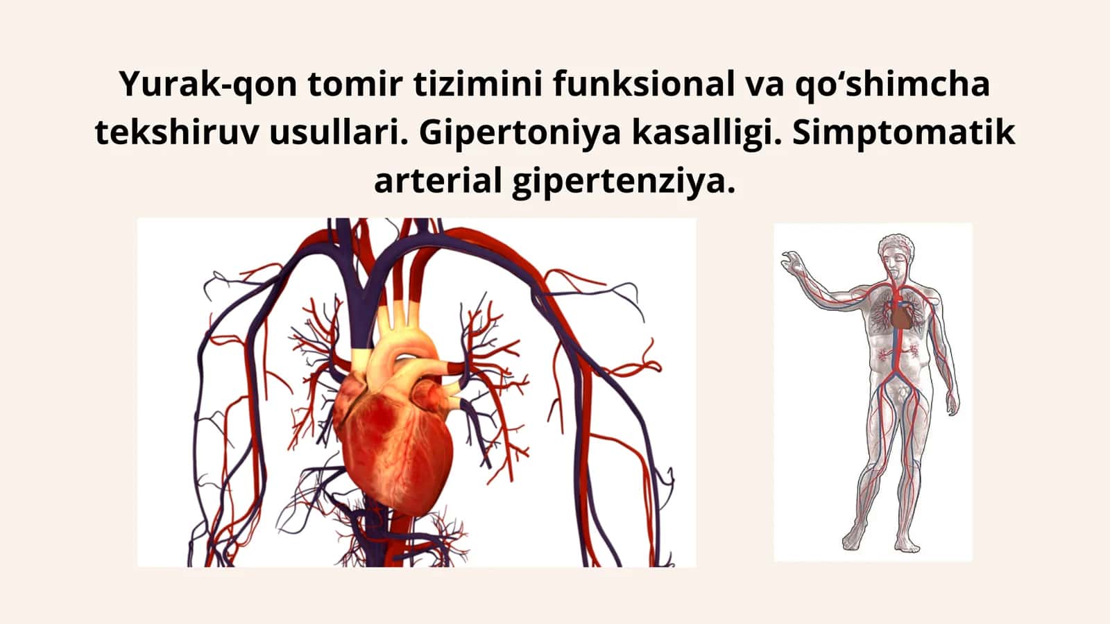 Yurak-qon tomir tizimi 2