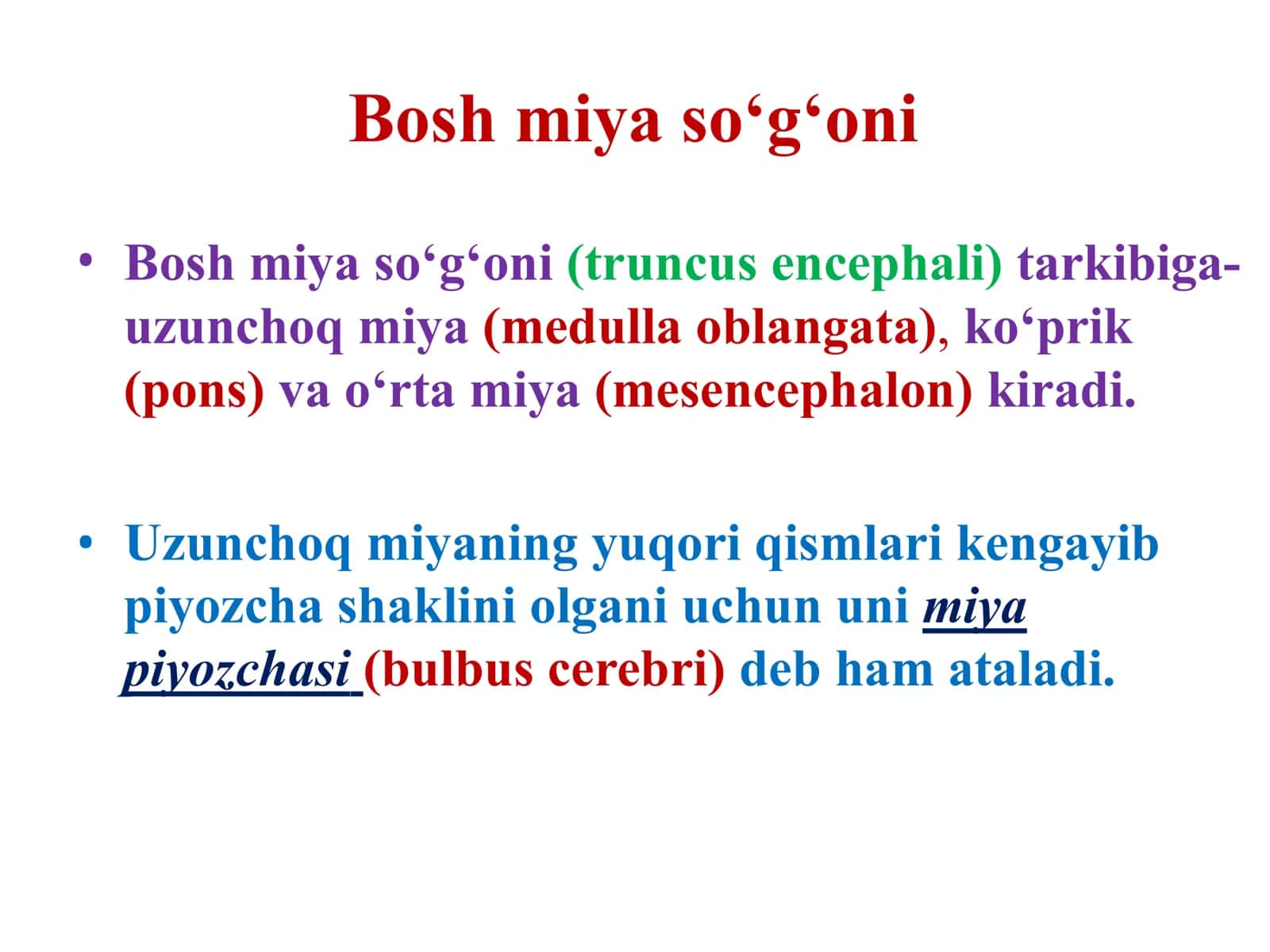 Uzunchoq miya va ko‘prik 2